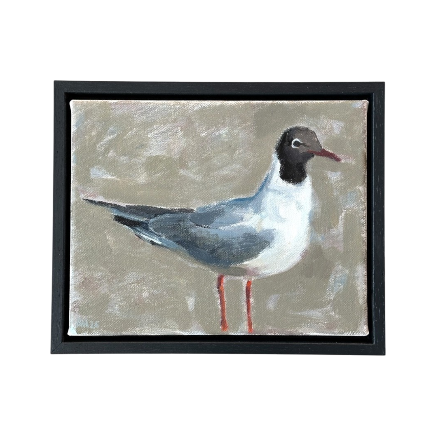 gull.png