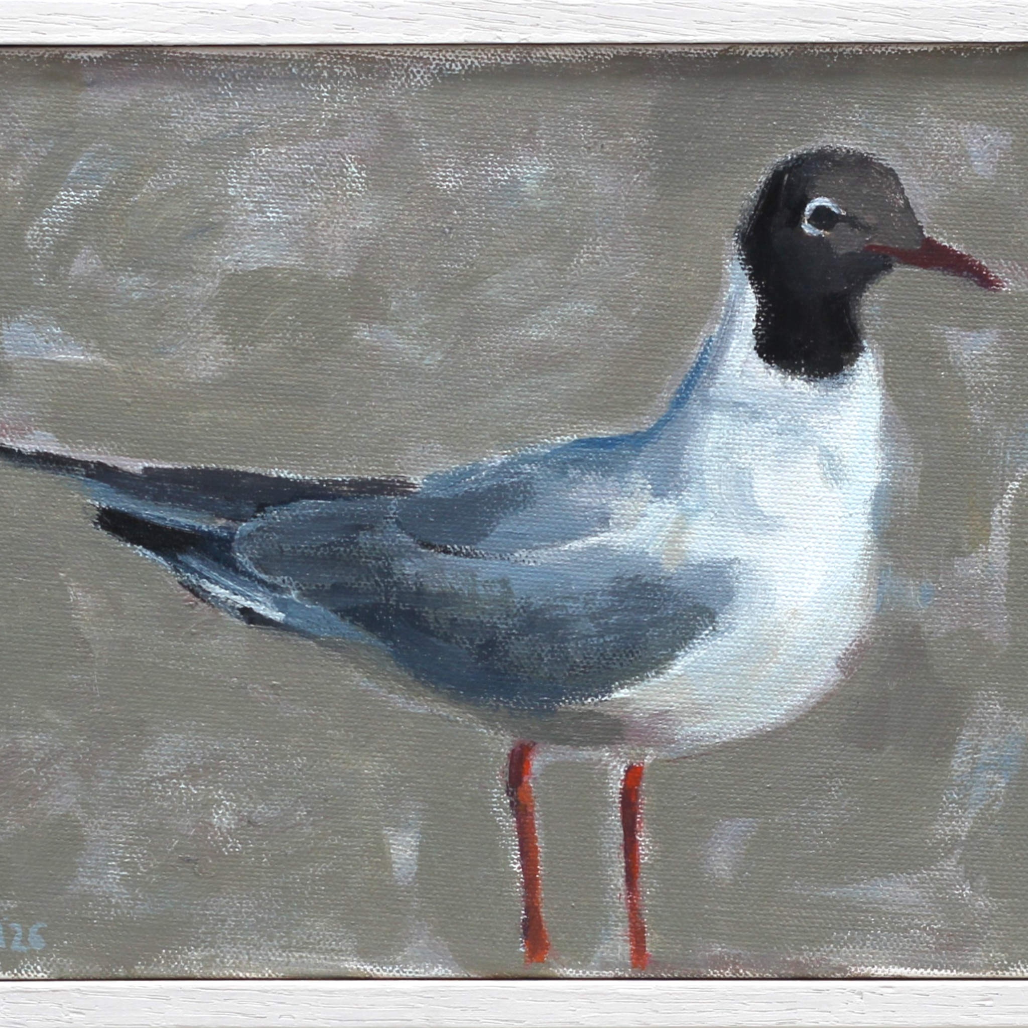 GULL DETAIL.png