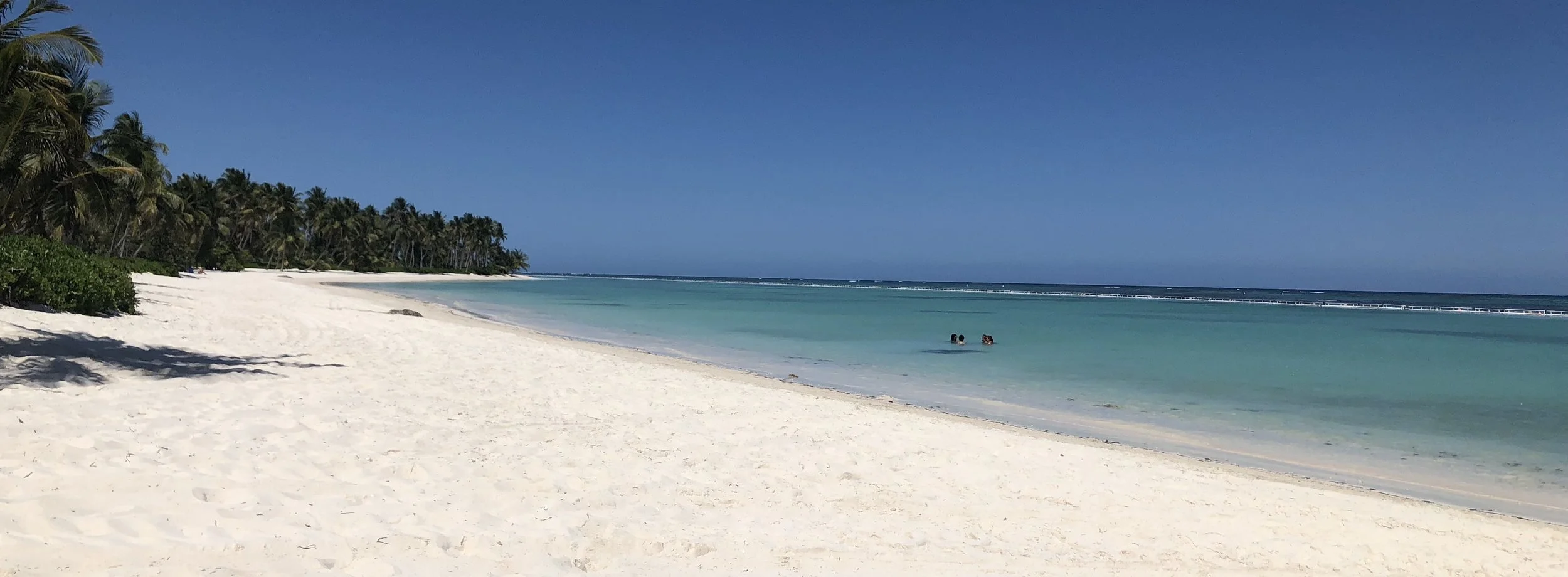 beach.jpg