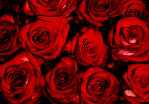 The Ultimate Bedroom Soundtrack