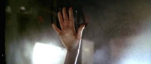 Ticket to Ride: Car Sex Confessions