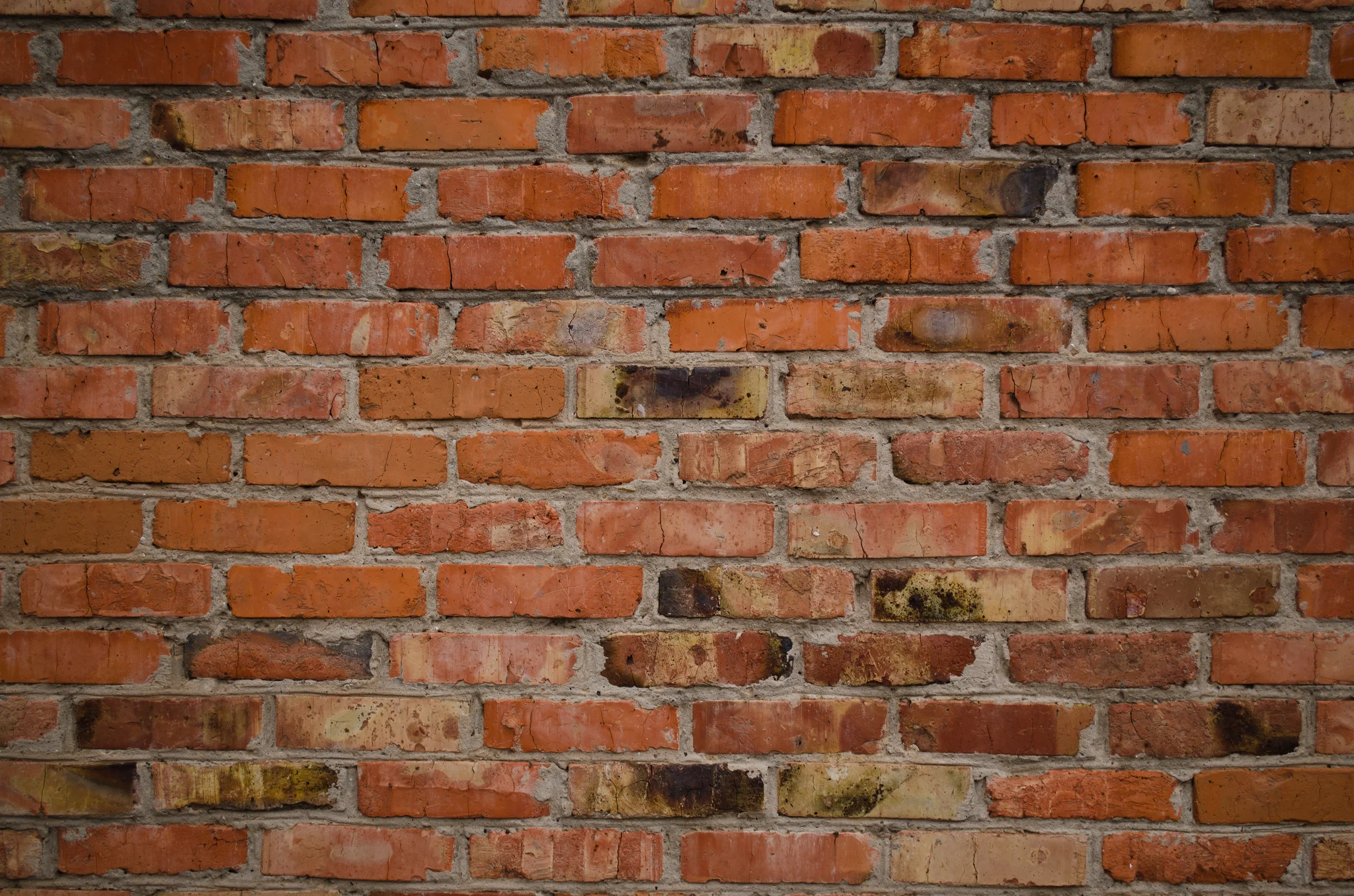 Day 6: Trump Says Wall Plans Will Be "Complicated"