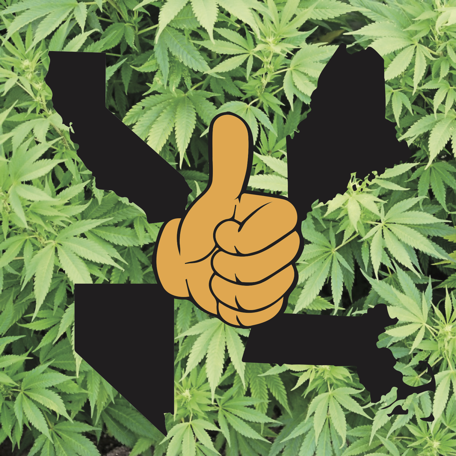 WEEDcoolstates.jpg