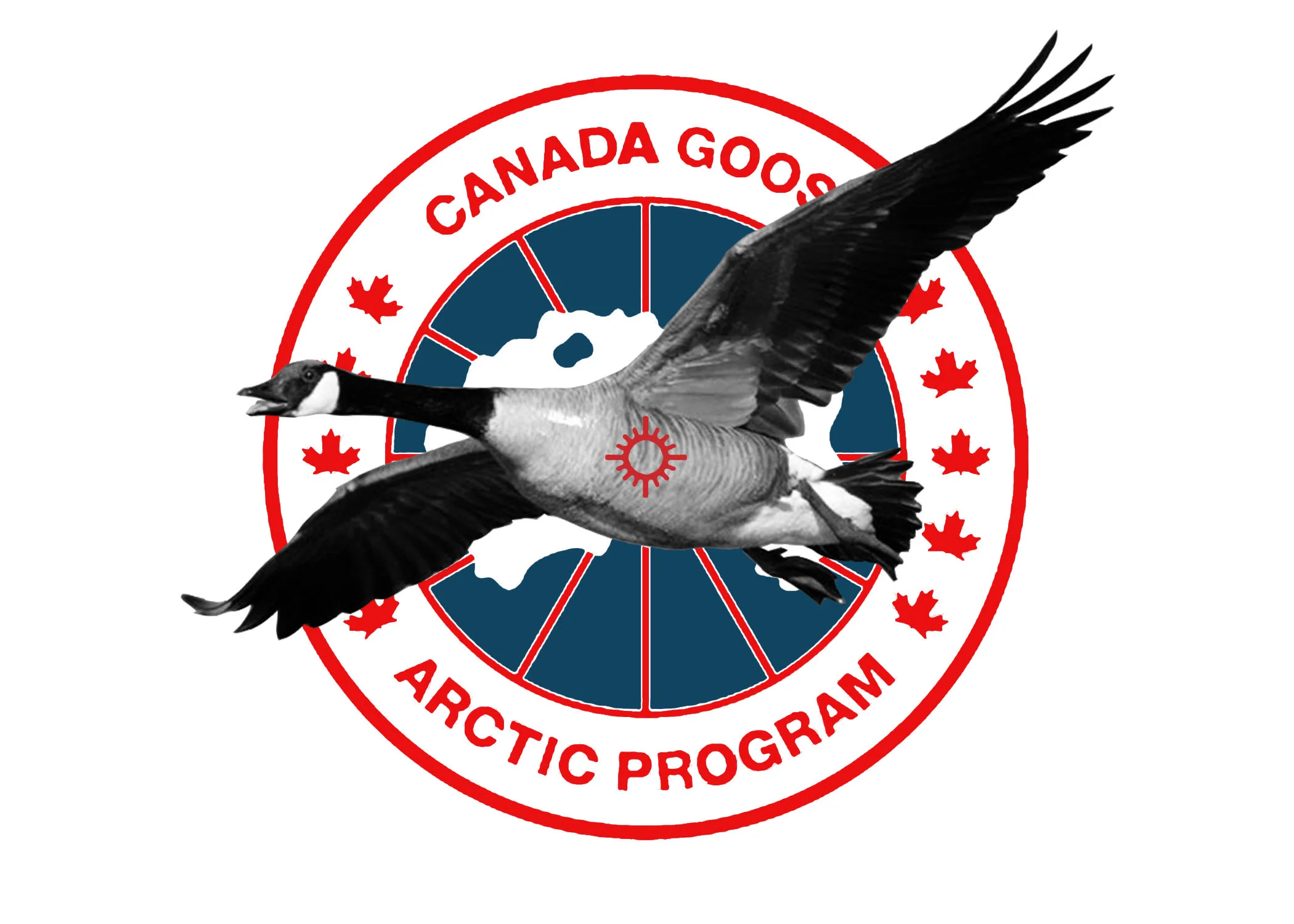 canadagoose.jpg