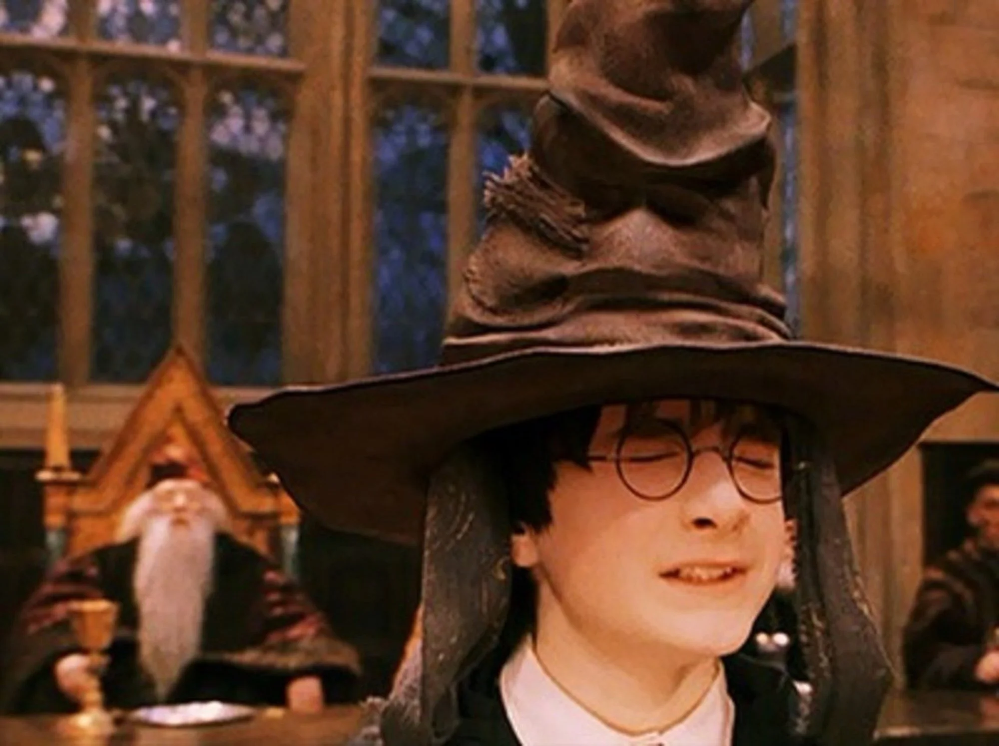The Sorting Hat: What We Can Learn From Harry Potter - Part I
