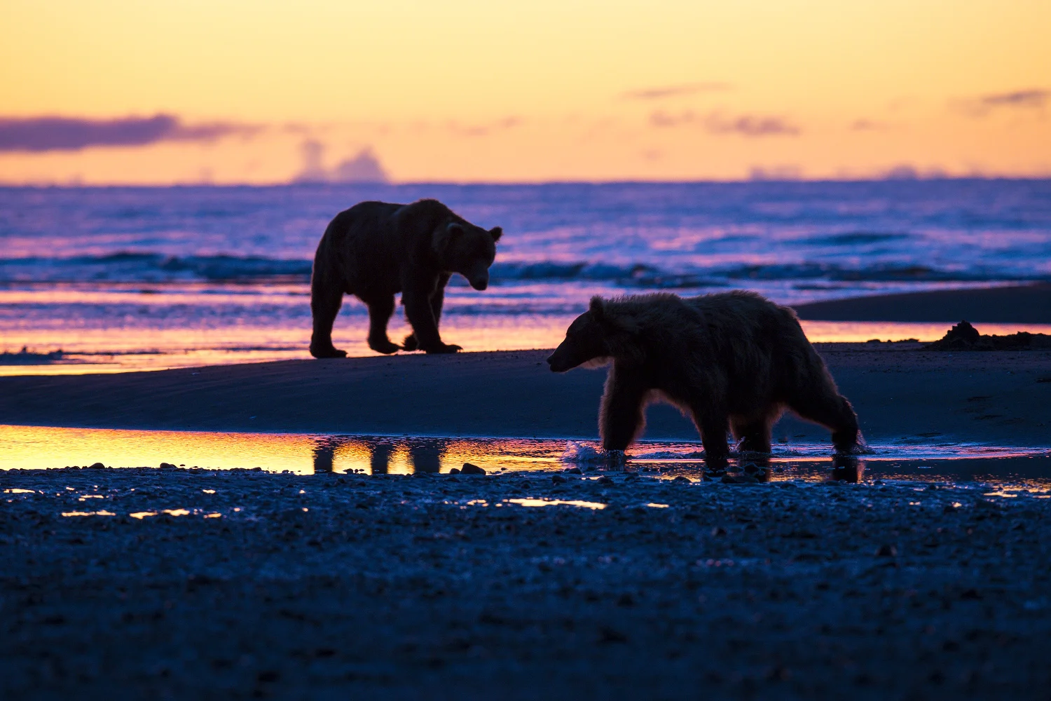 snyder_3870-Alaska.jpg