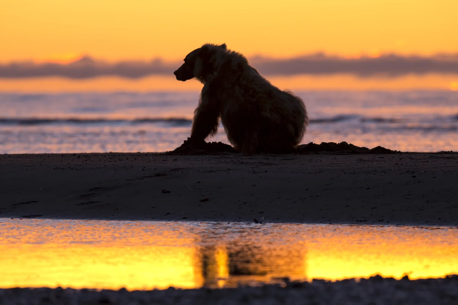 snyder_3913-Alaska.jpg