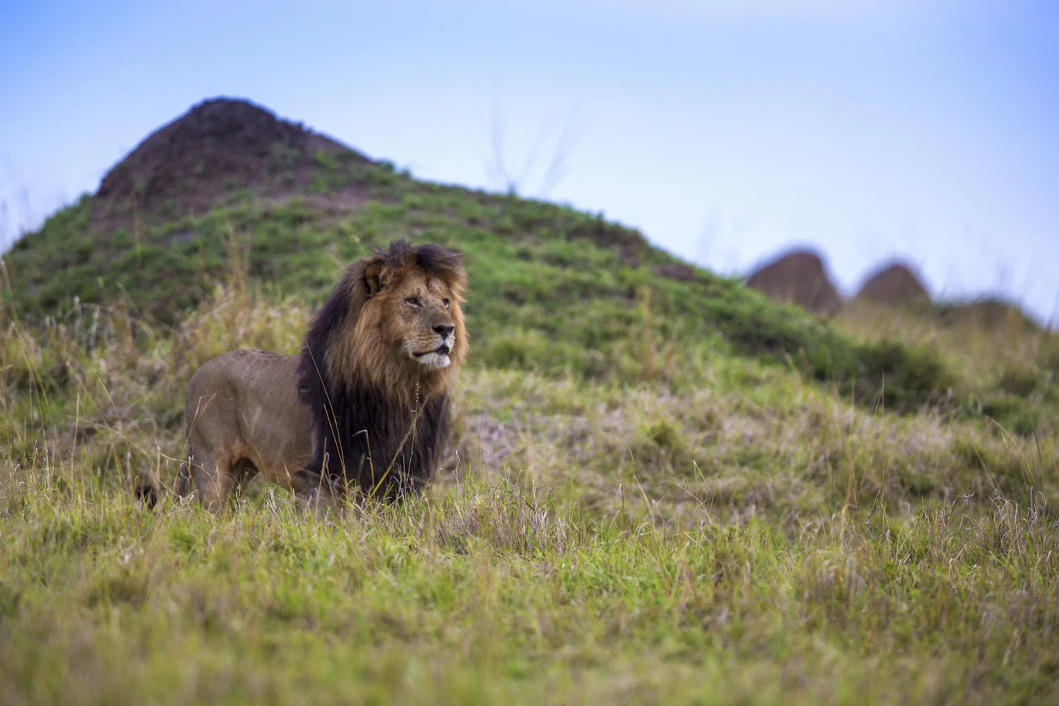 snyder_5510-Kenya.jpg
