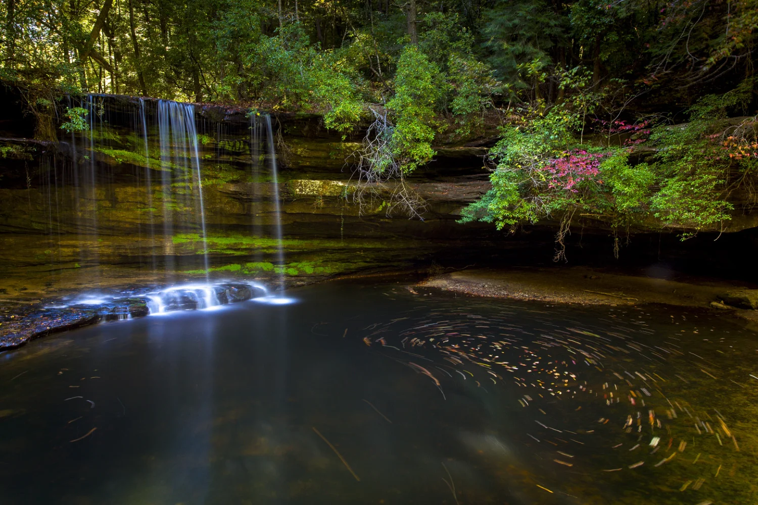 3_MG_8865-Edit-Edit.jpg