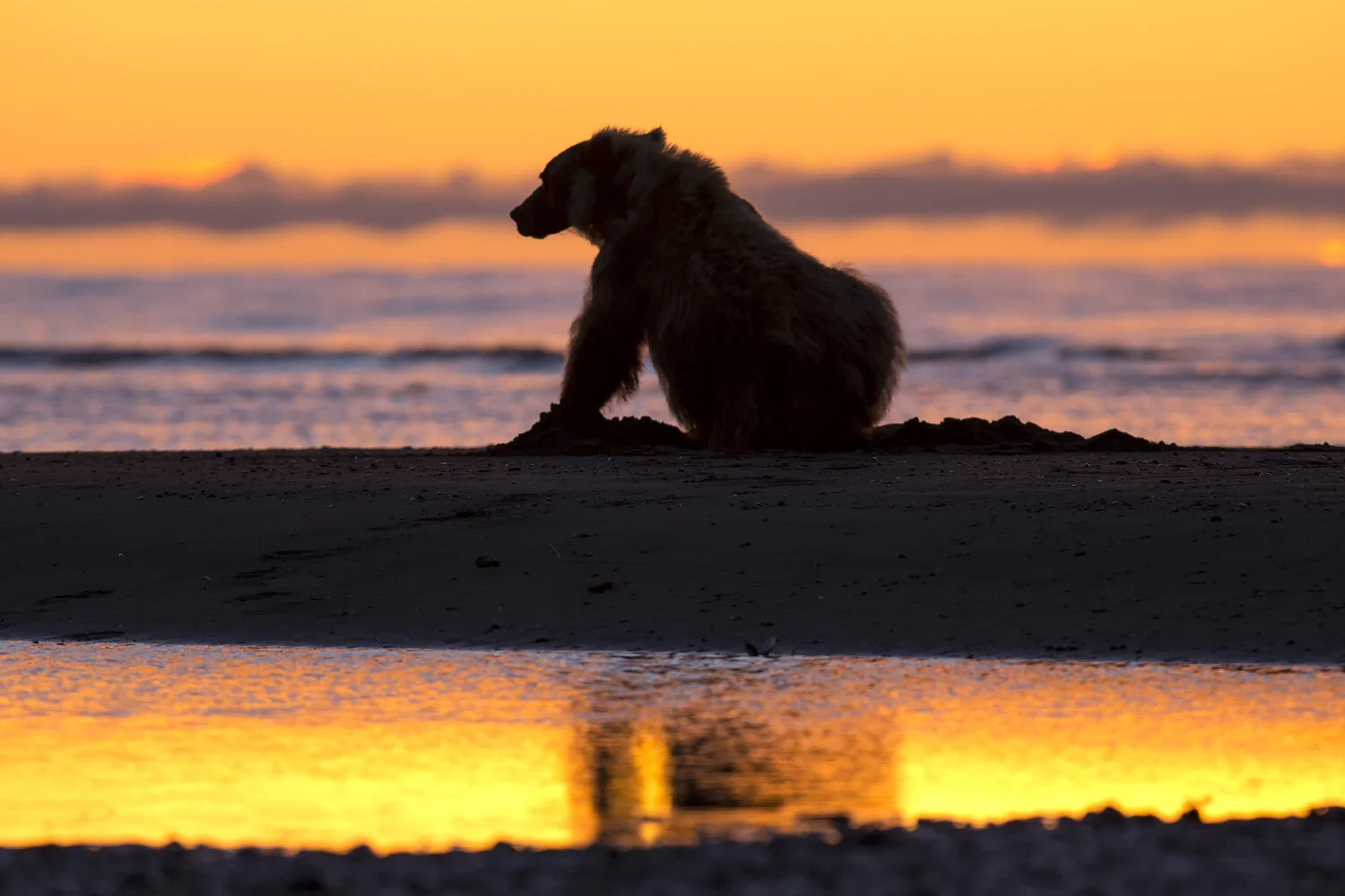 16 snyder~ Sunrise-3913-© 2012.jpg