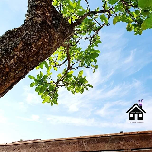 - Det er sommer og en tid der hekk og gress skyter fart. Behovet for hagestell er til stede. Det handler om &aring; f&aring; det fint. Det handler om &aring; ta vare p&aring;.

www.utleiehjelperen.com (link i bio)
▪️Hage l Renhold l Opprydning l Vedl