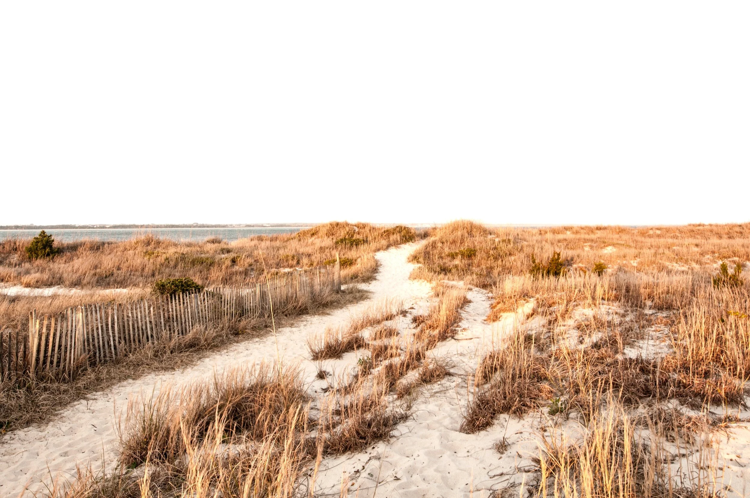 path.jpg