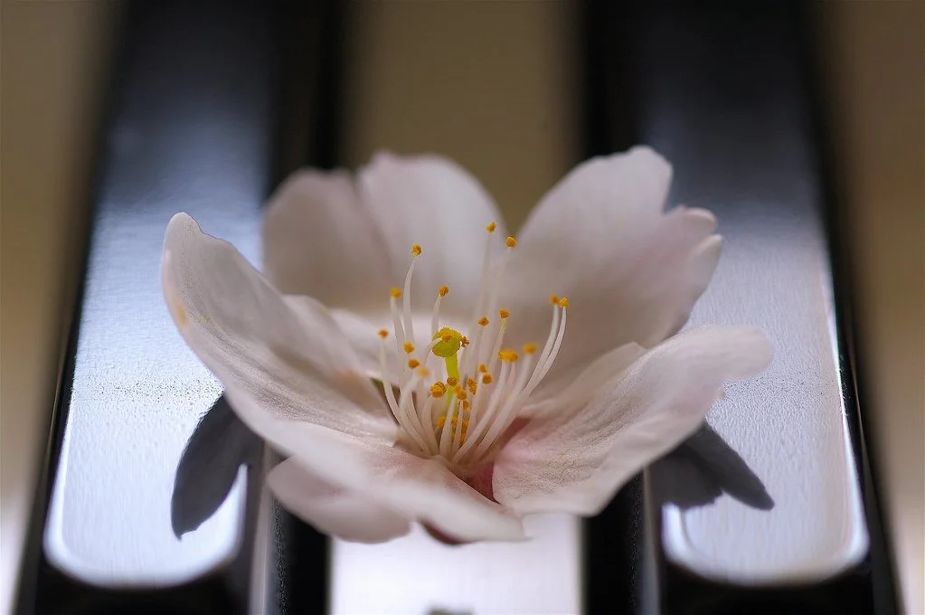 Spring Has Sprung Here At CCAA!