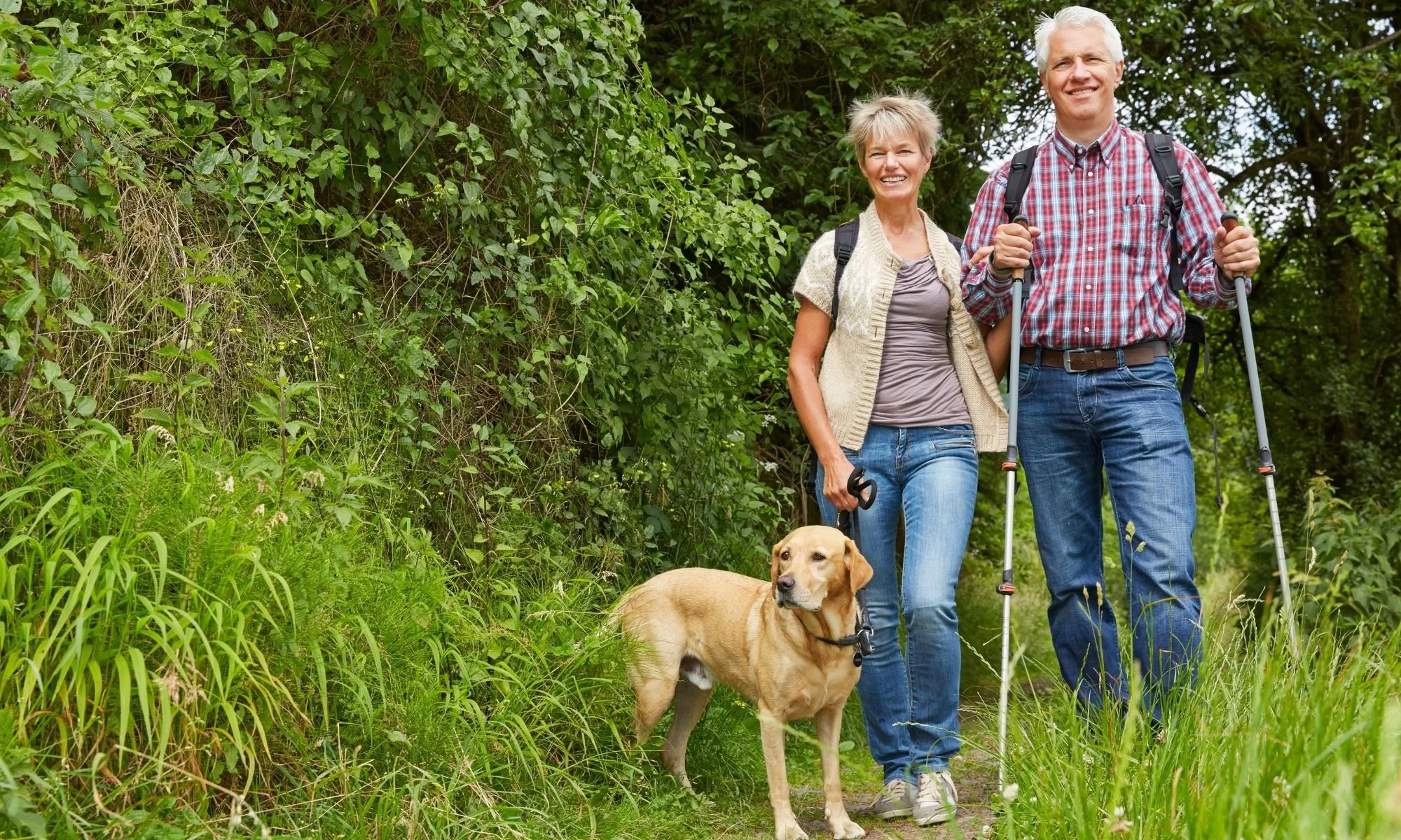 An elderly couple hiking with a dog on a trail surrounded by green foliage and trees.