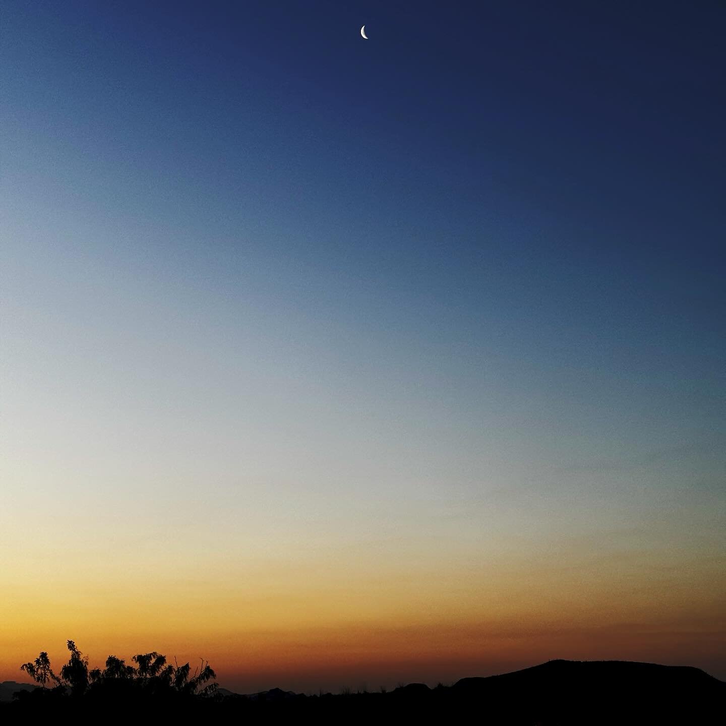 2025.114 When I admire the wonders of a sunset or the beauty of the moon, my soul expands in the worship of the creator.
Mahatma Gandhi