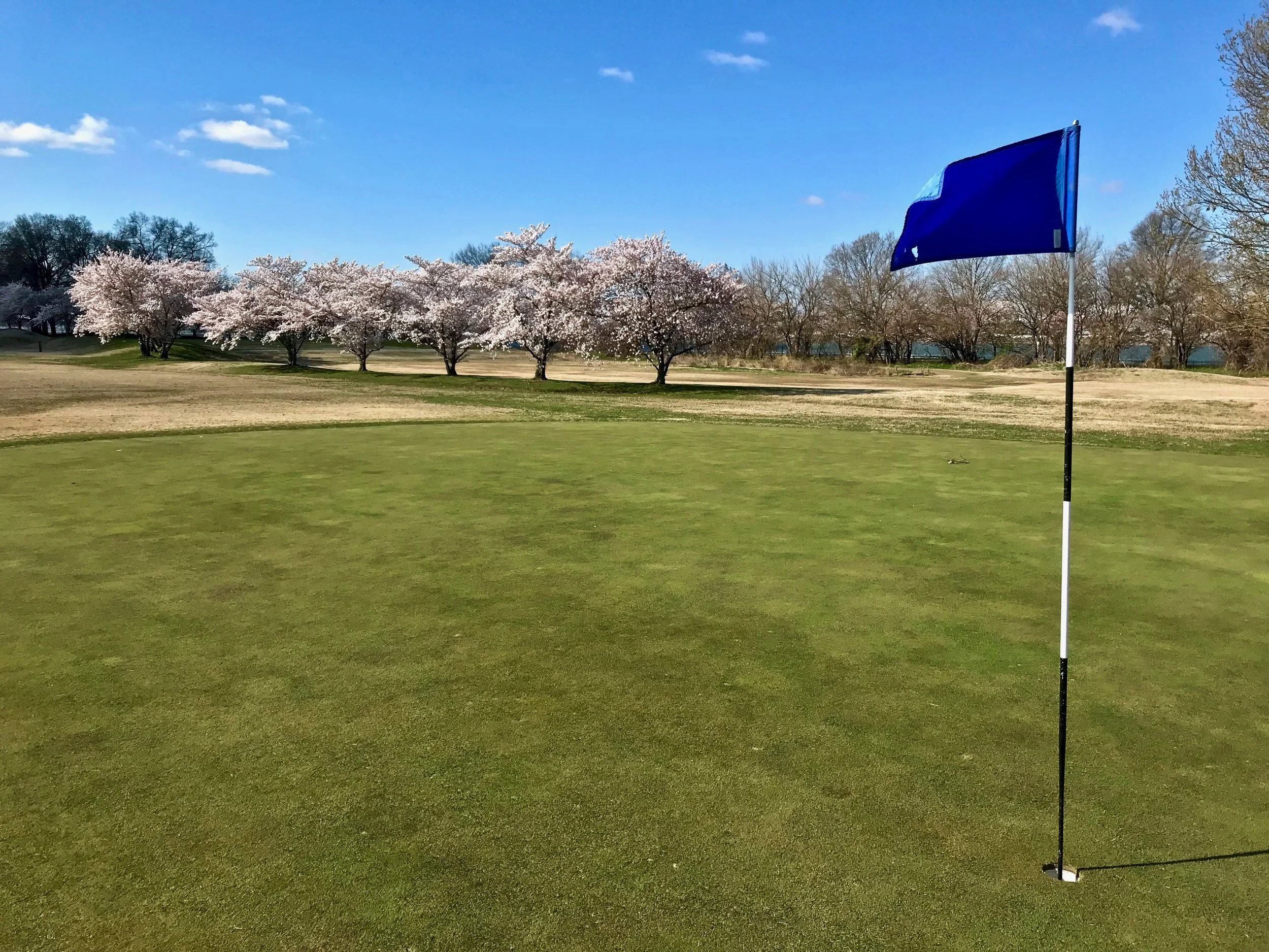 East Potomac Lying Four