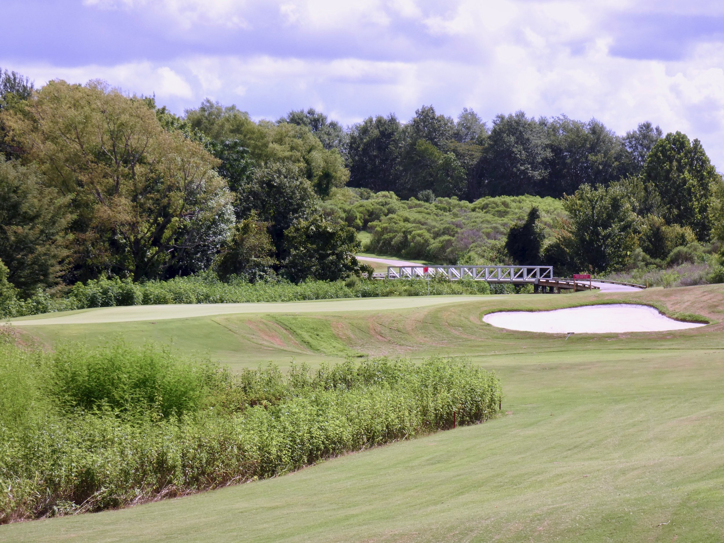 Black Bear Golf Course — Lying Four