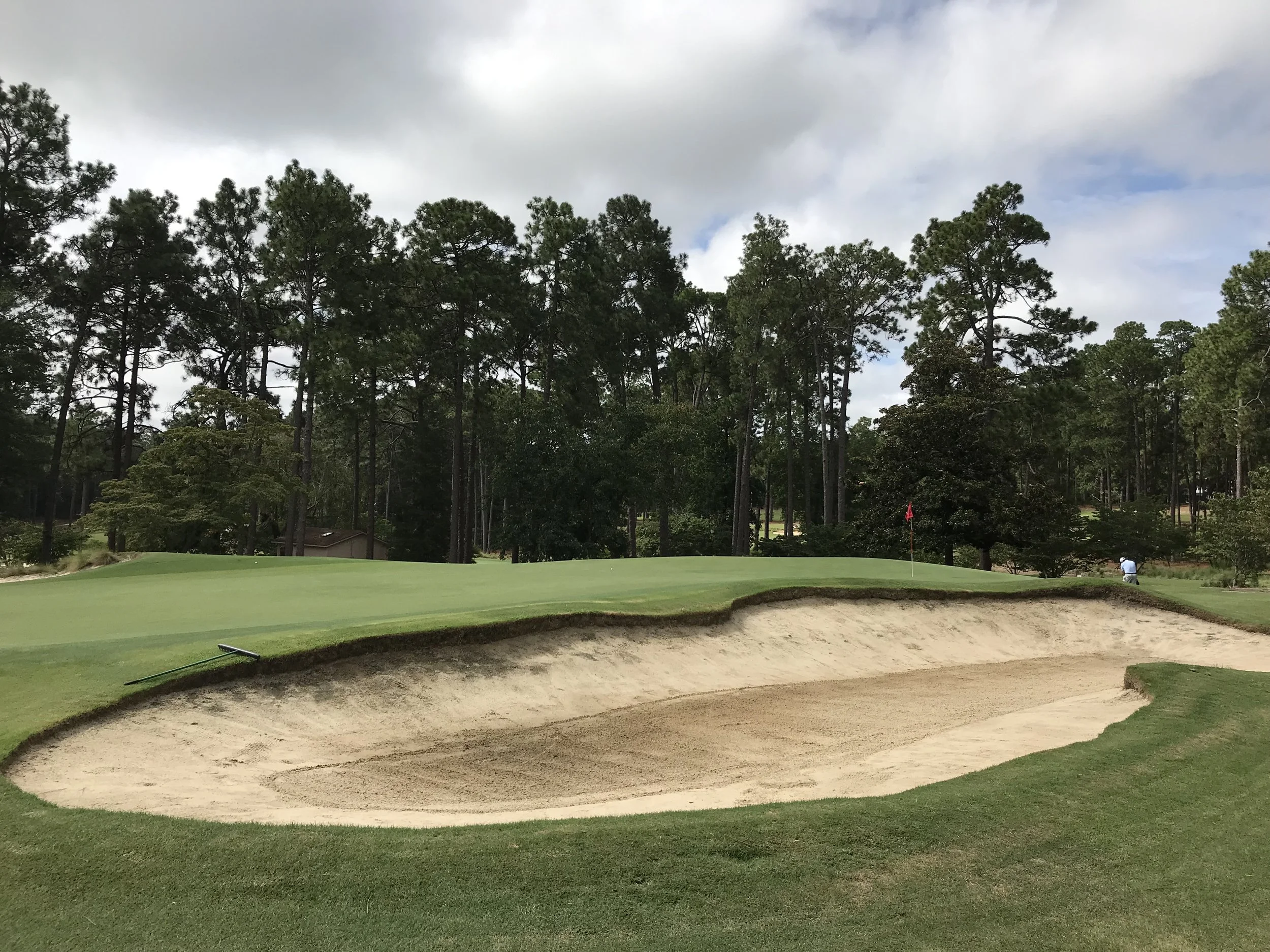 Mid Pines