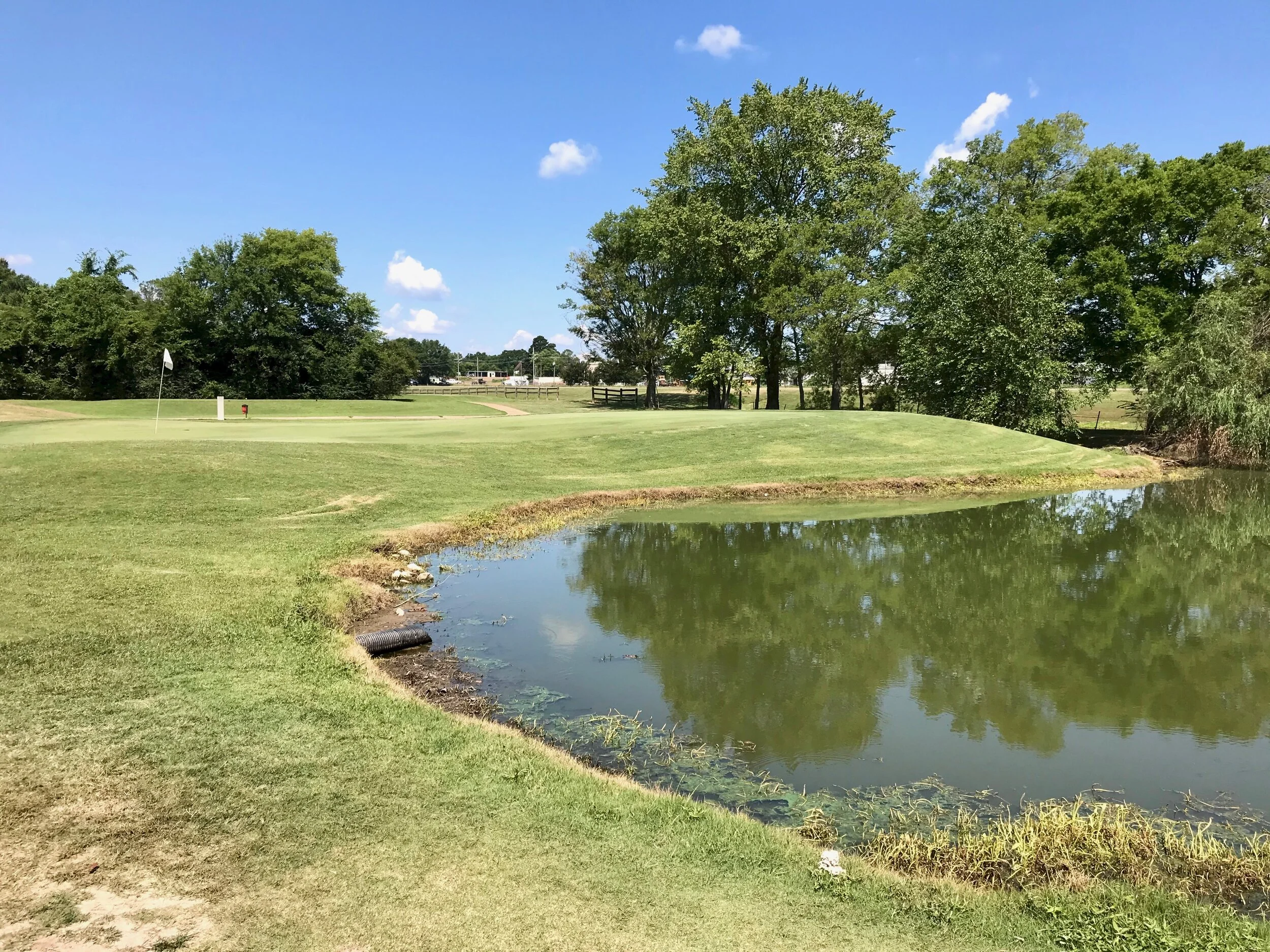 Eagle Ridge Lying Four