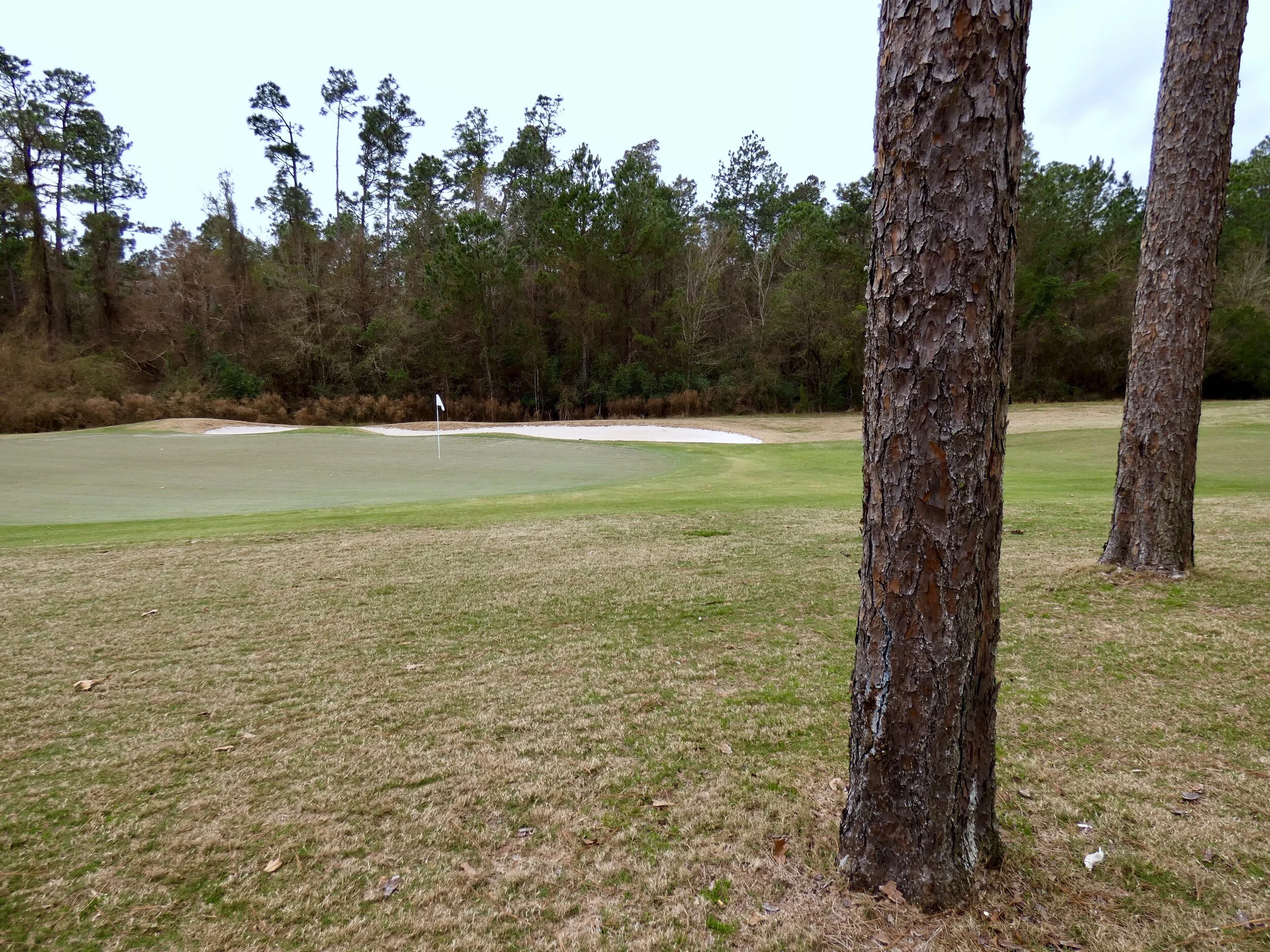 Grand Bear Golf Club in Saucier, Miss.