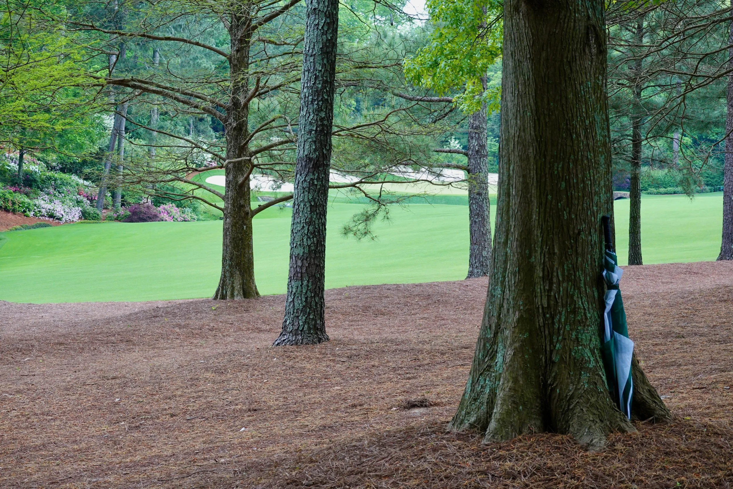 Remembering Grayson Murray