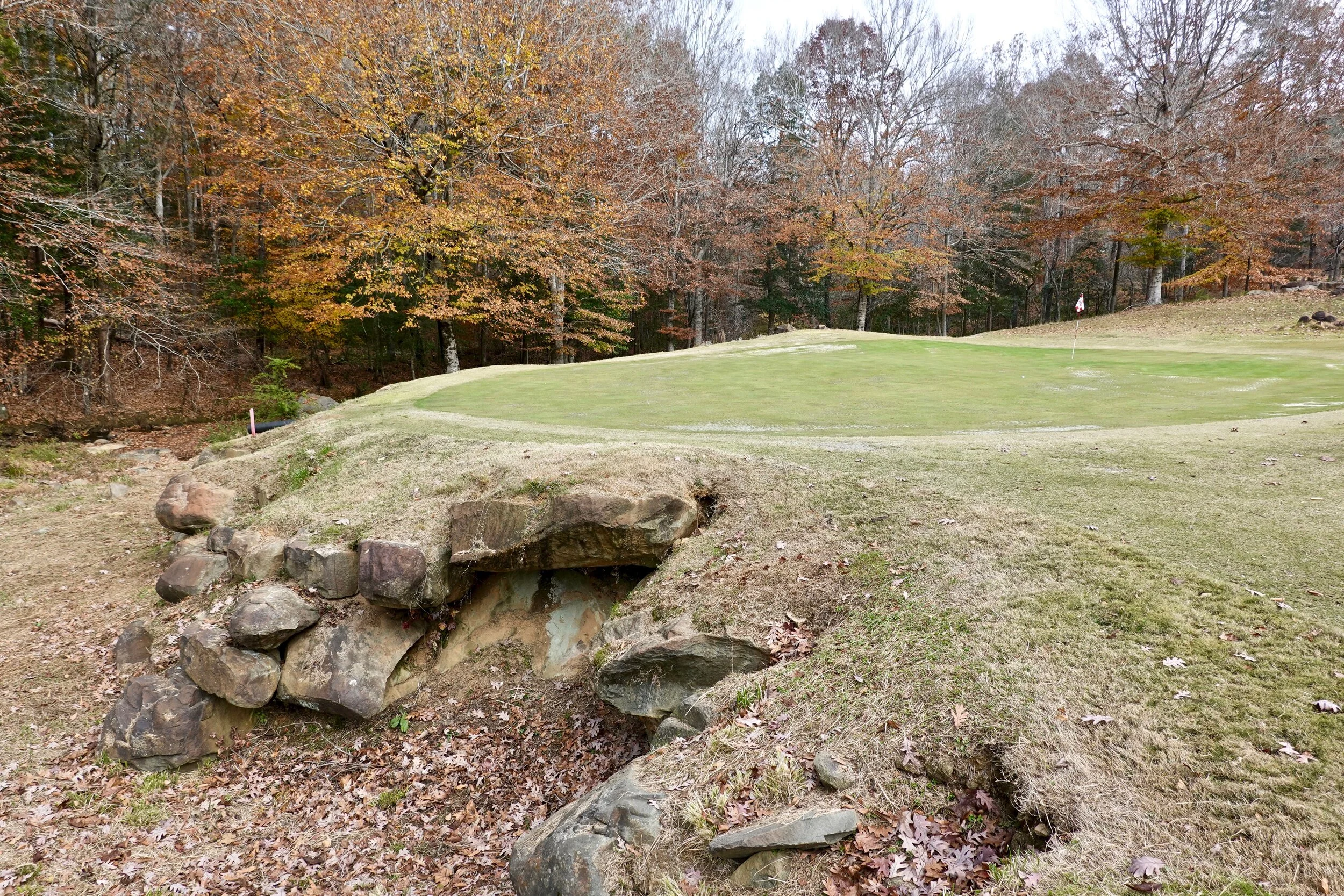 Tot Hill Farm — Lying Four