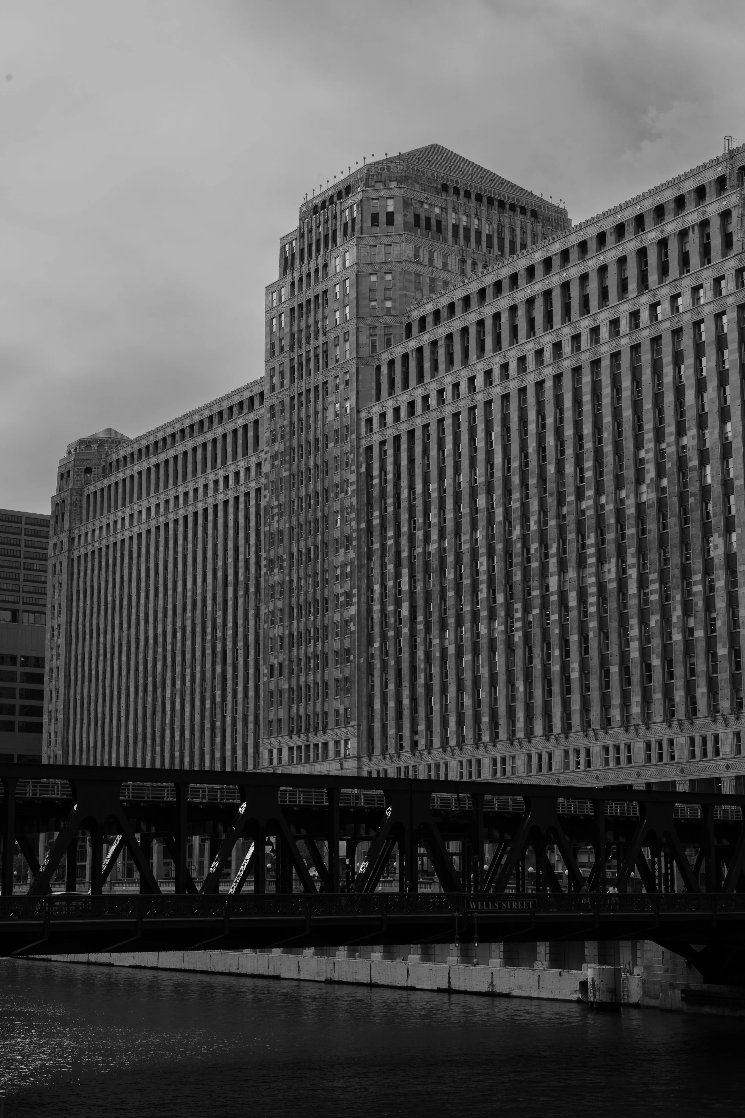 _DSC9512.jpg
