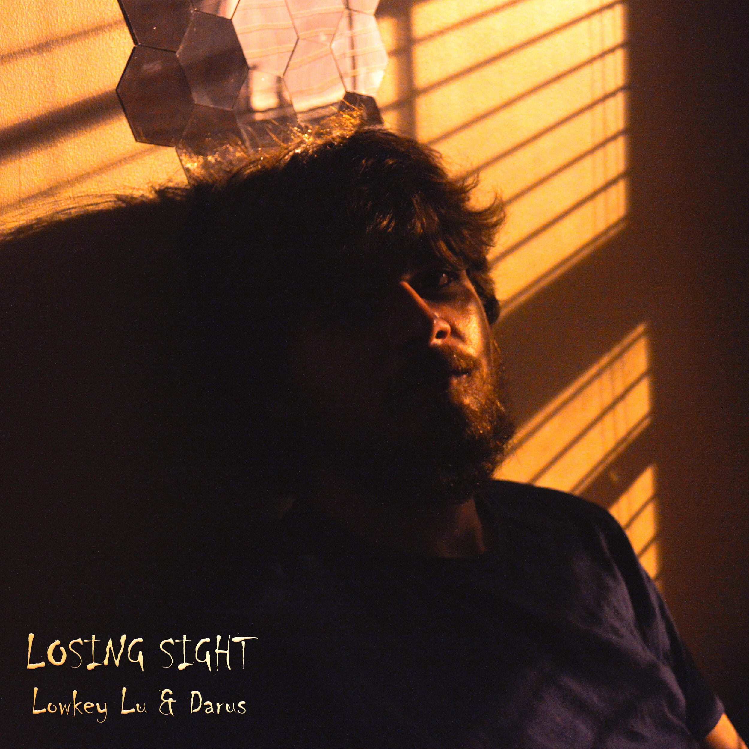 Losing Sight (feat. Darus) by Lowkey Lu