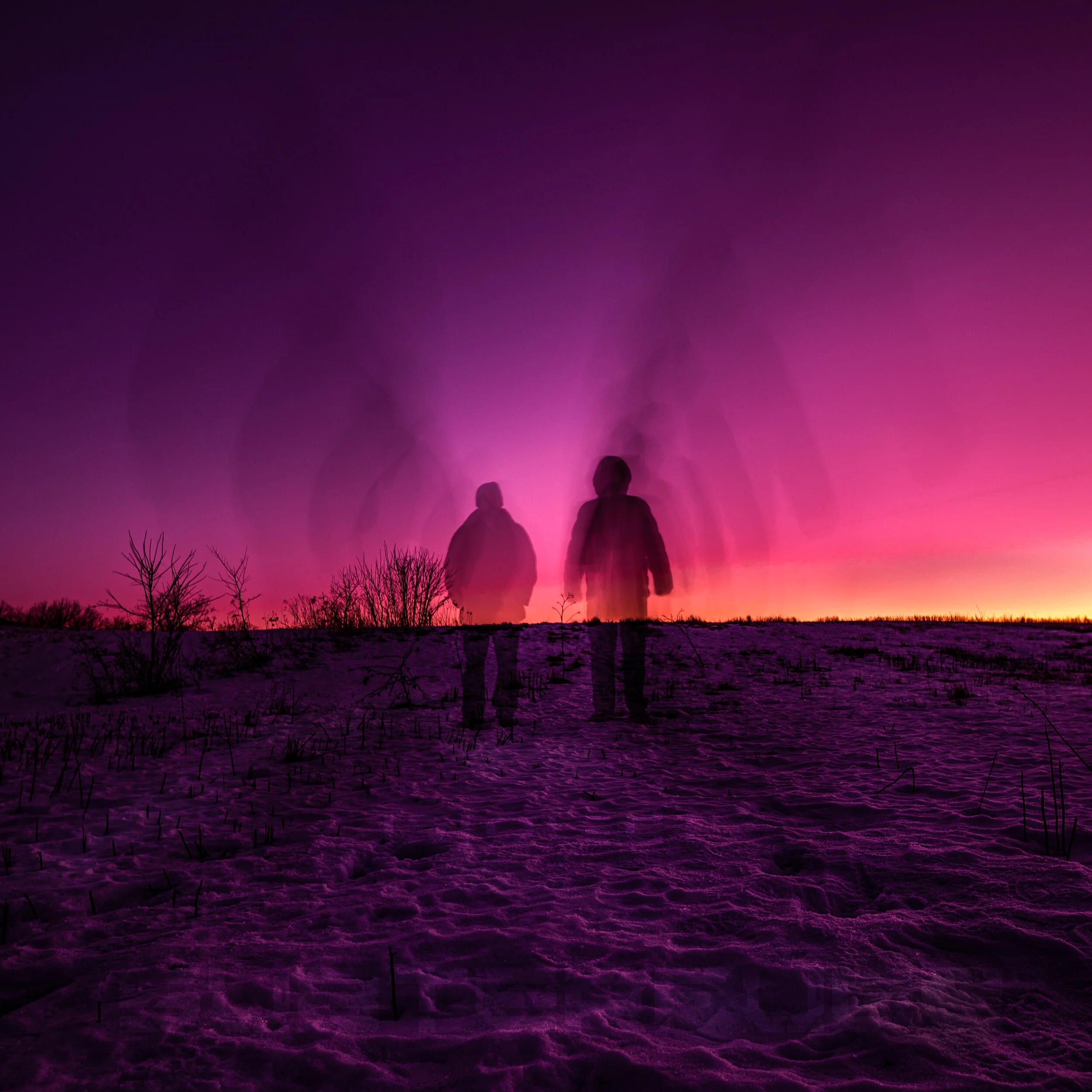 Subterfuge by IDIOLECT