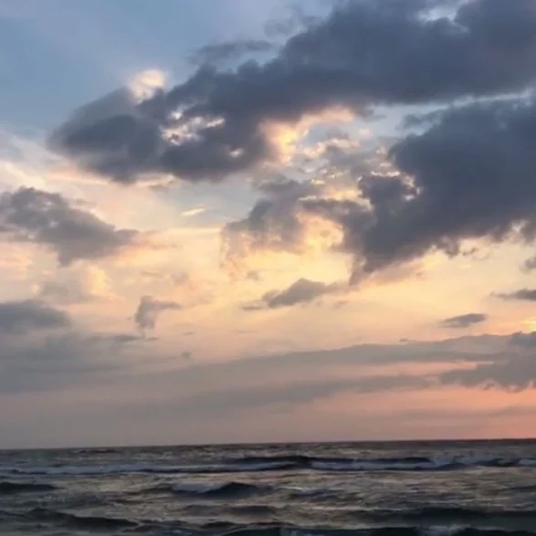 Screen+Shot+2019-03-22+at+4.40.49+PM.jpg