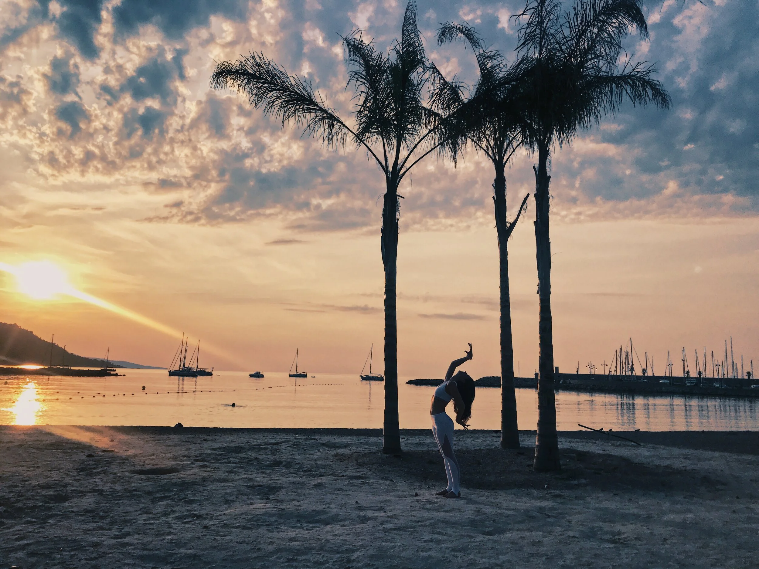 Atelier Yoga Animal Flow 