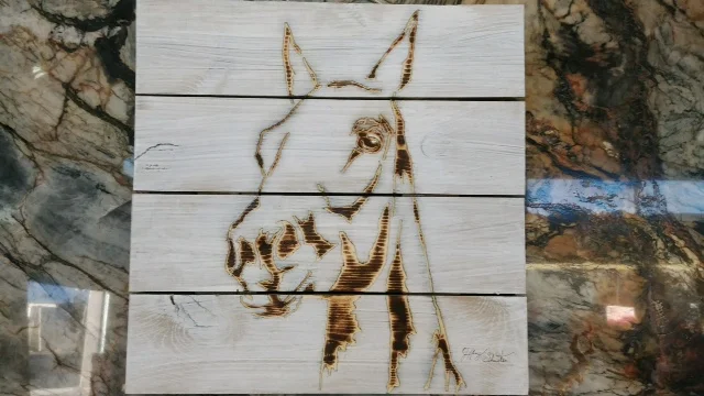 Whitewash Horse