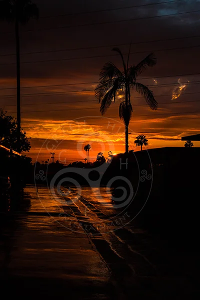 FireSunset2Facebook.jpg