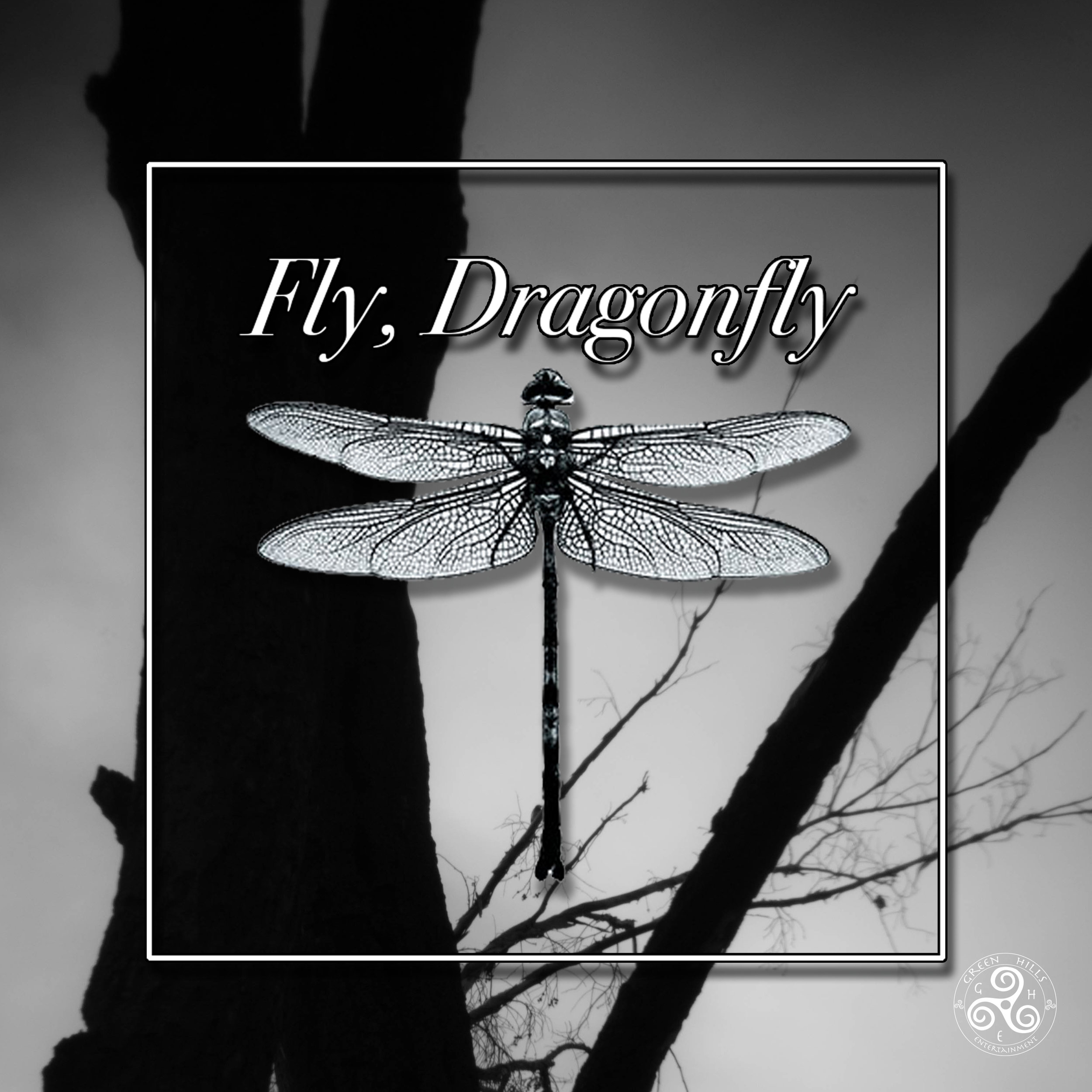 FlyDragonfly1.jpg