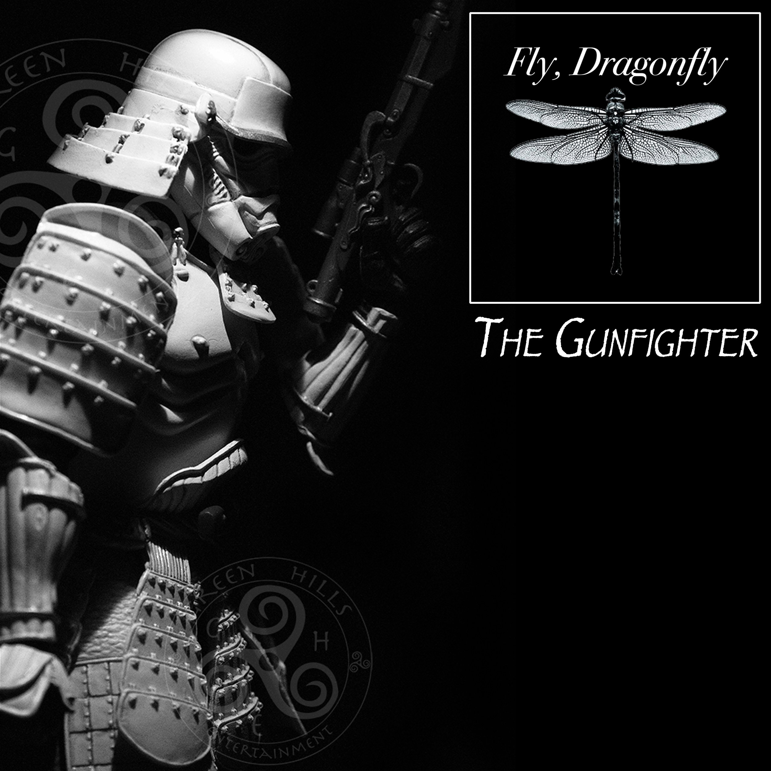 FlyDragonflyAlbums13.jpg