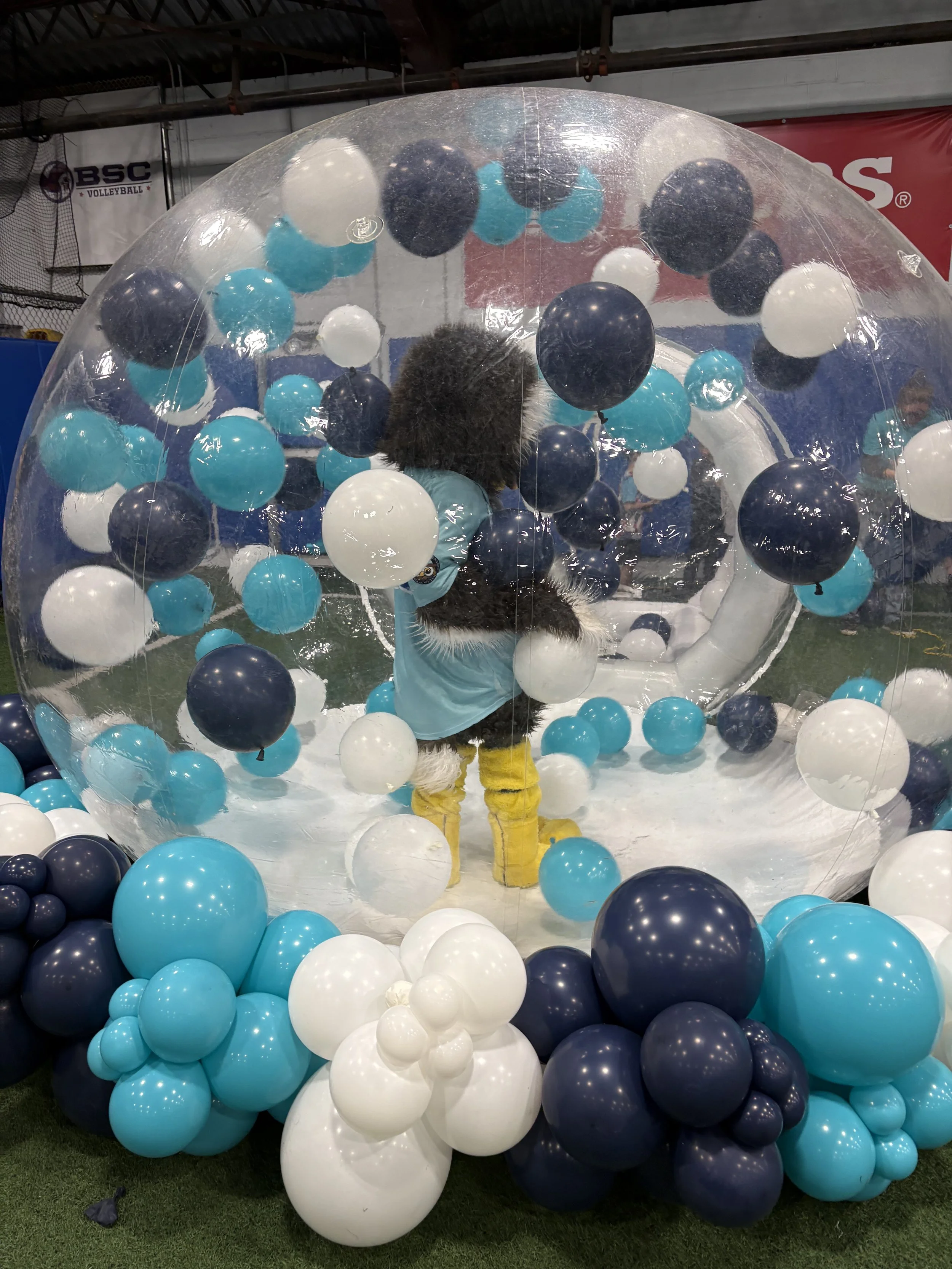 Owlbert in the snow globe.jpg