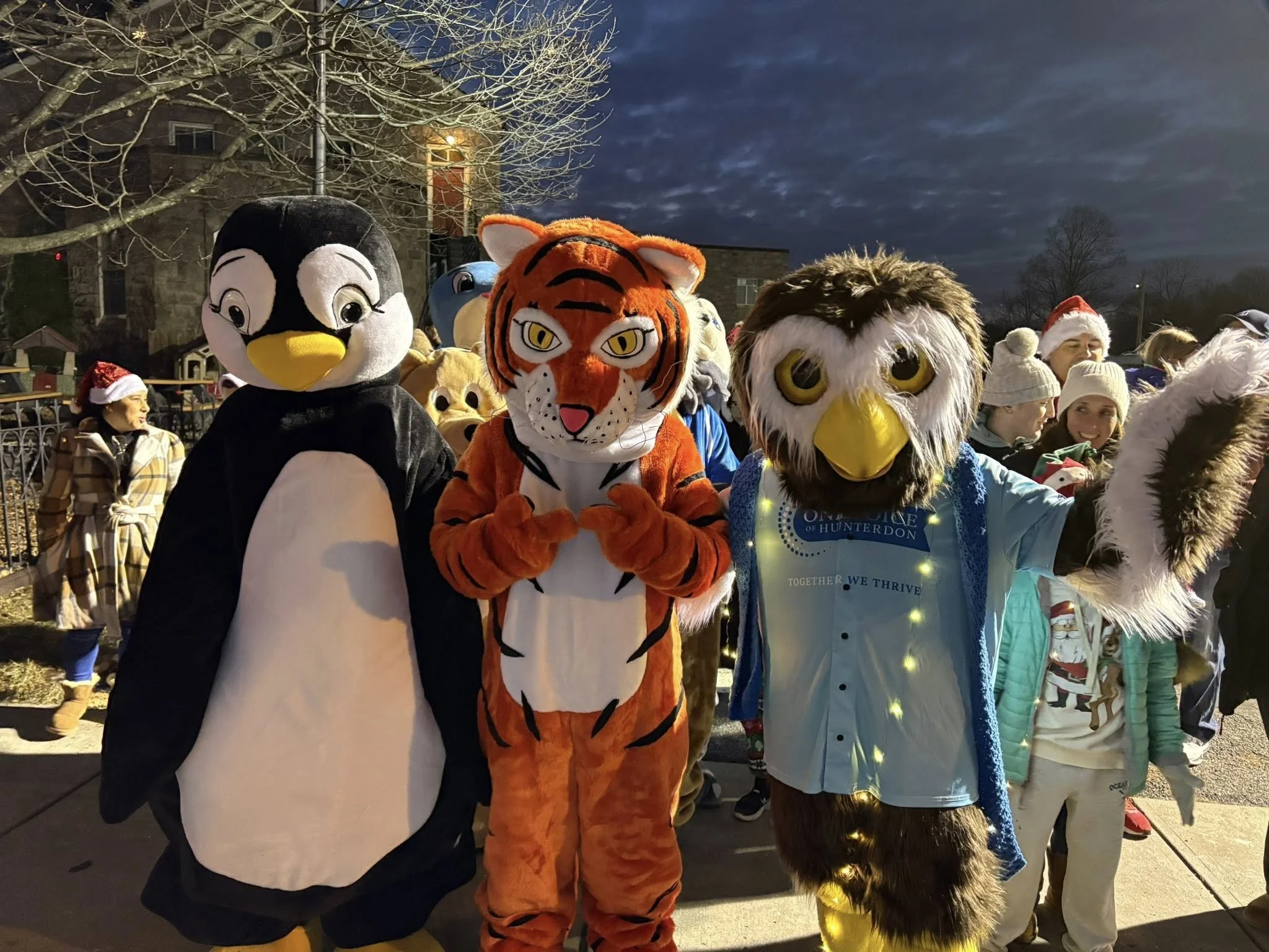 Owlbert and friends.jpg