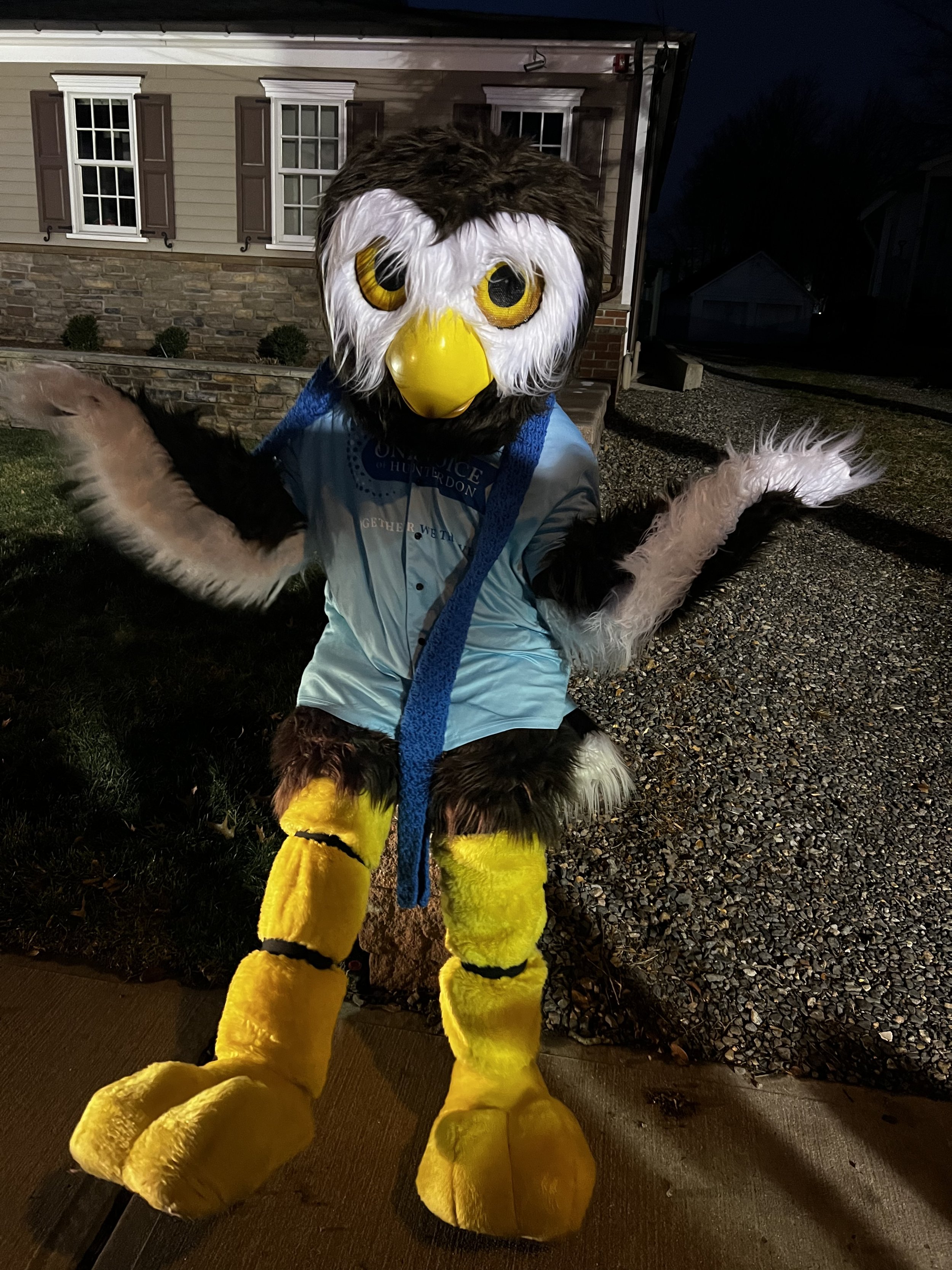 owlbert on seatingwal.jpeg