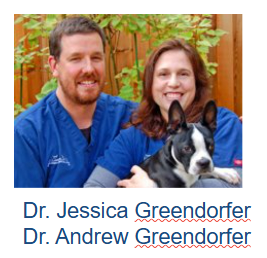 Dr. Andrew and Jessica Greendorfer -  Lambertville Animal Hospital.png