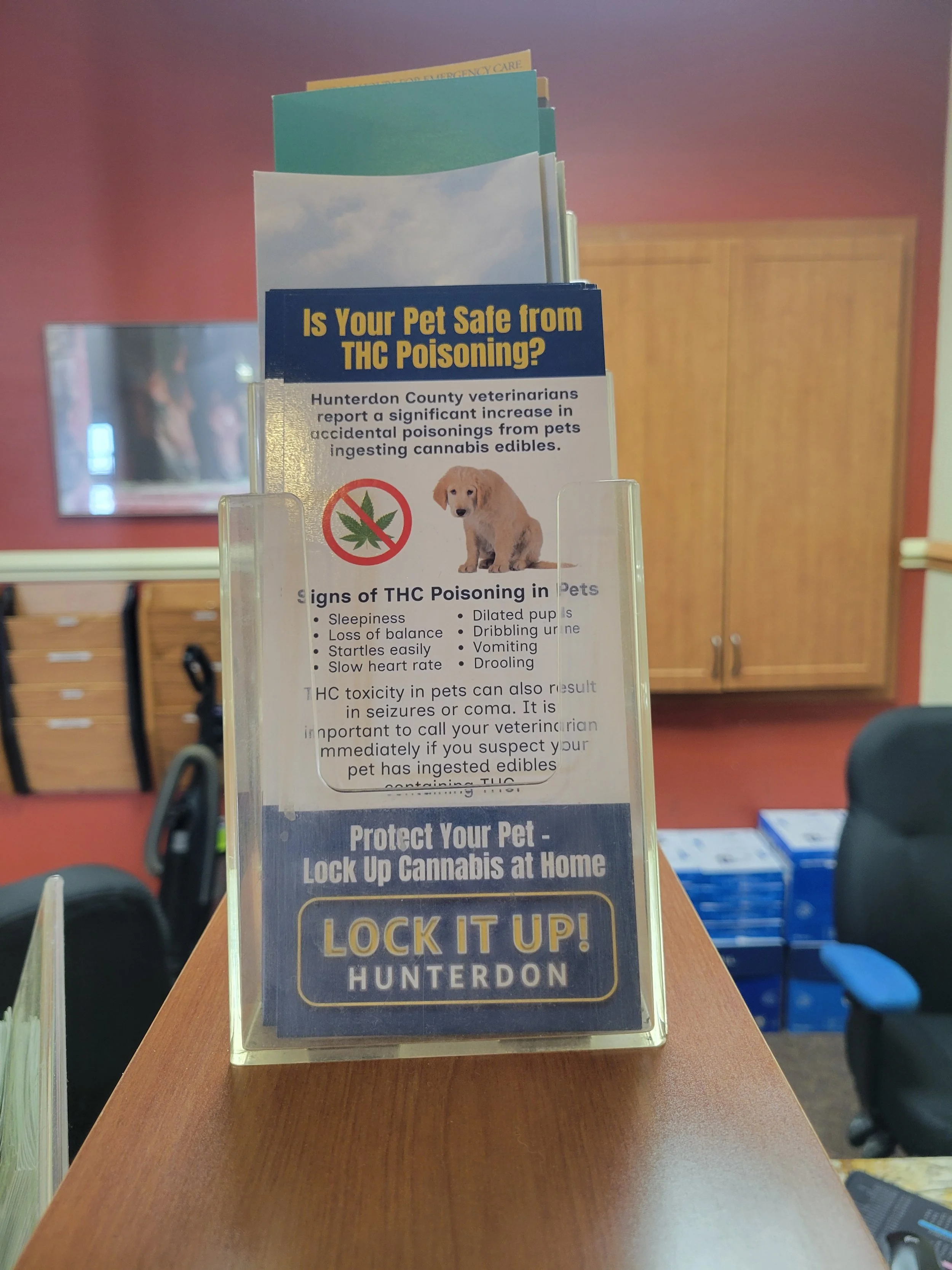 Crown Veterinary Specialists.jpg