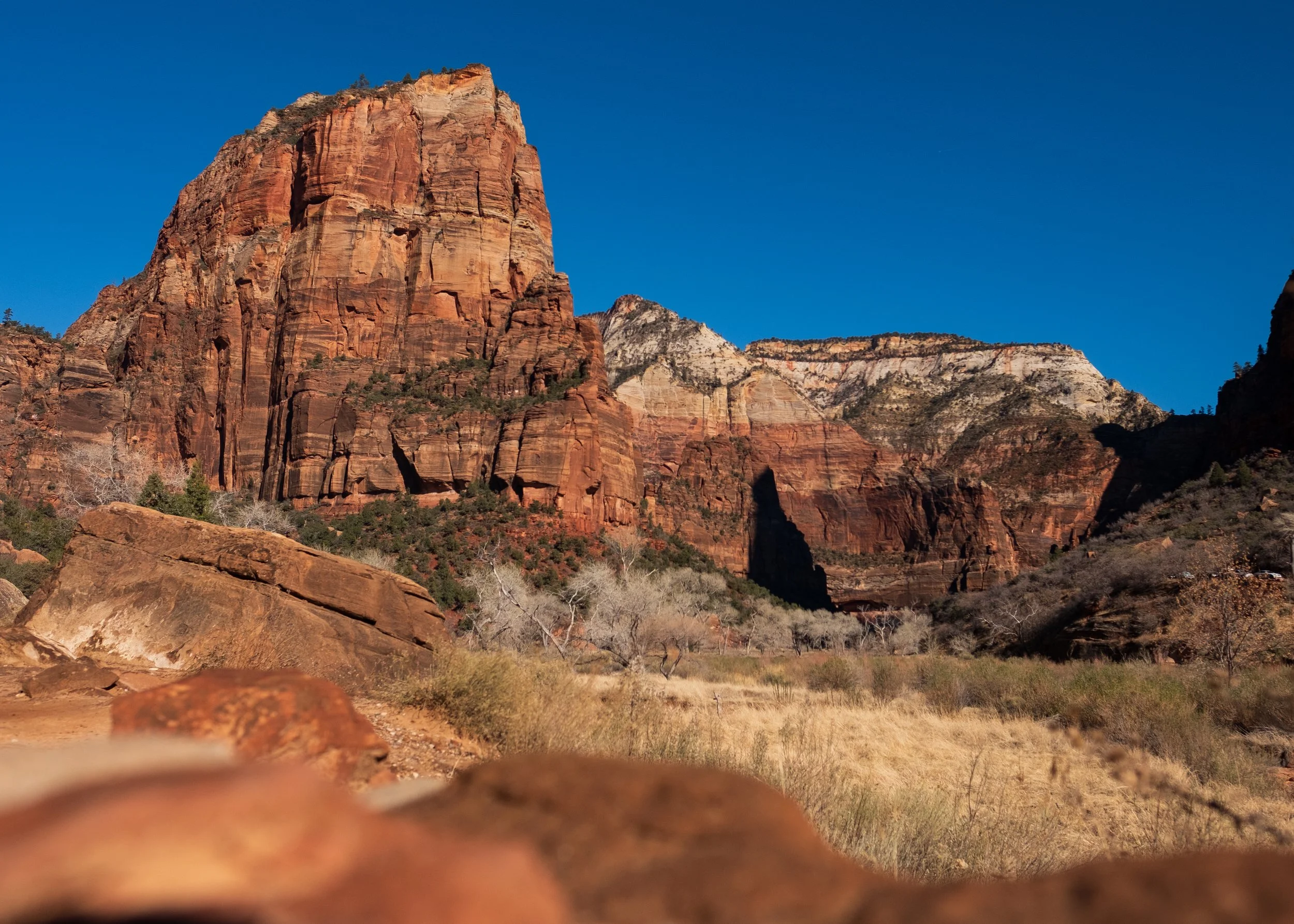 DSCF2073.jpg