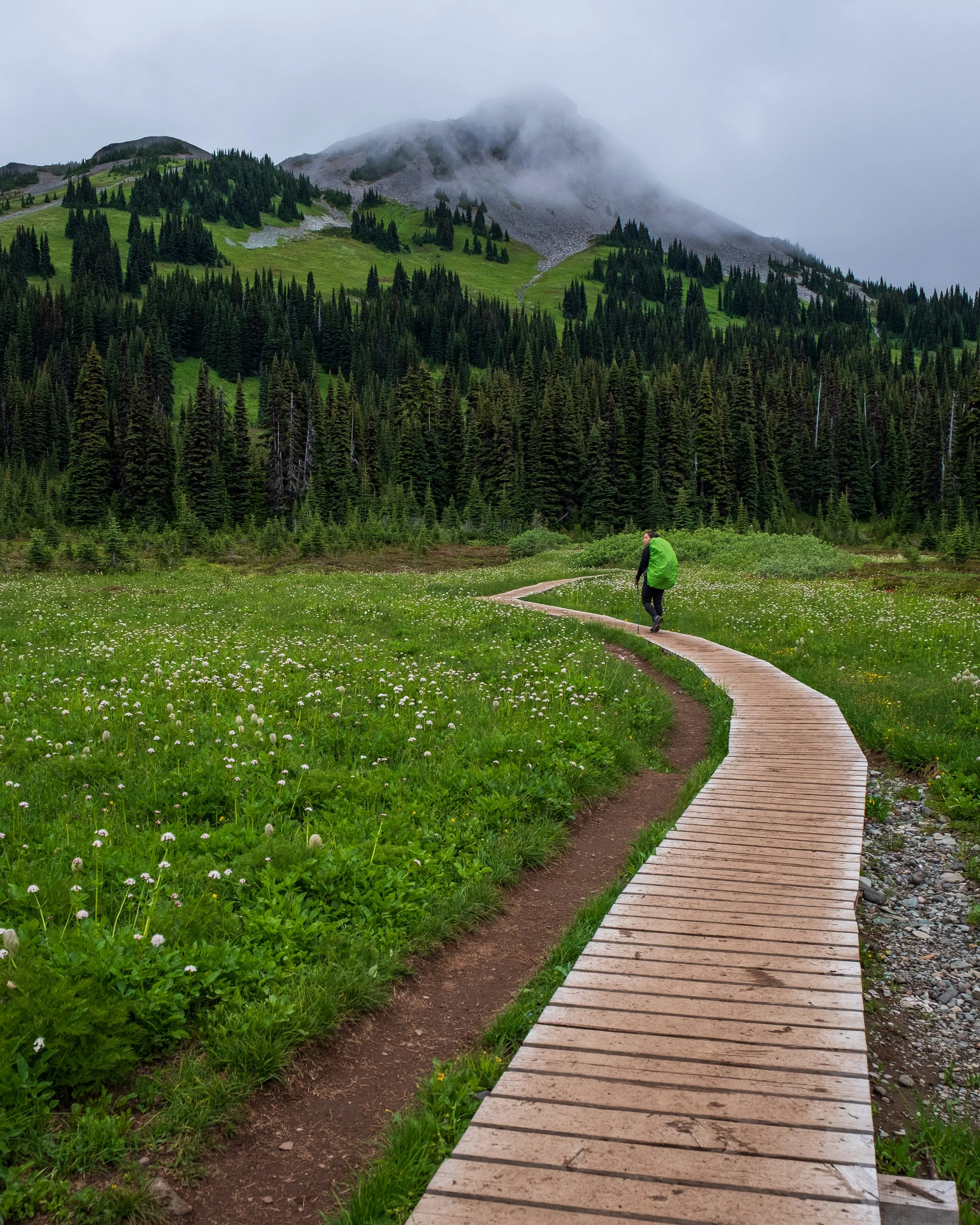 FUJI1730-Edit.jpg