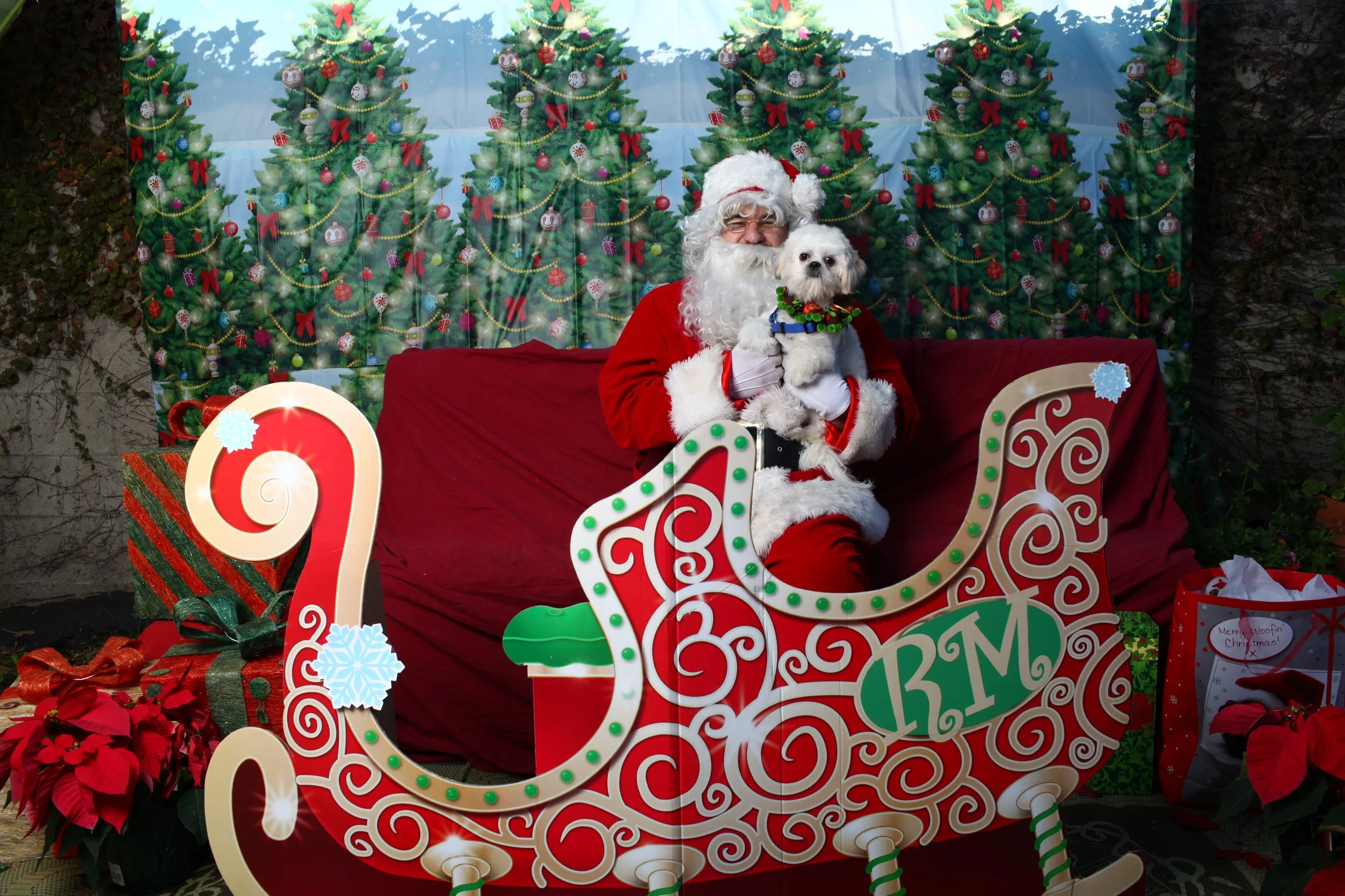 IMG_2528.JPG