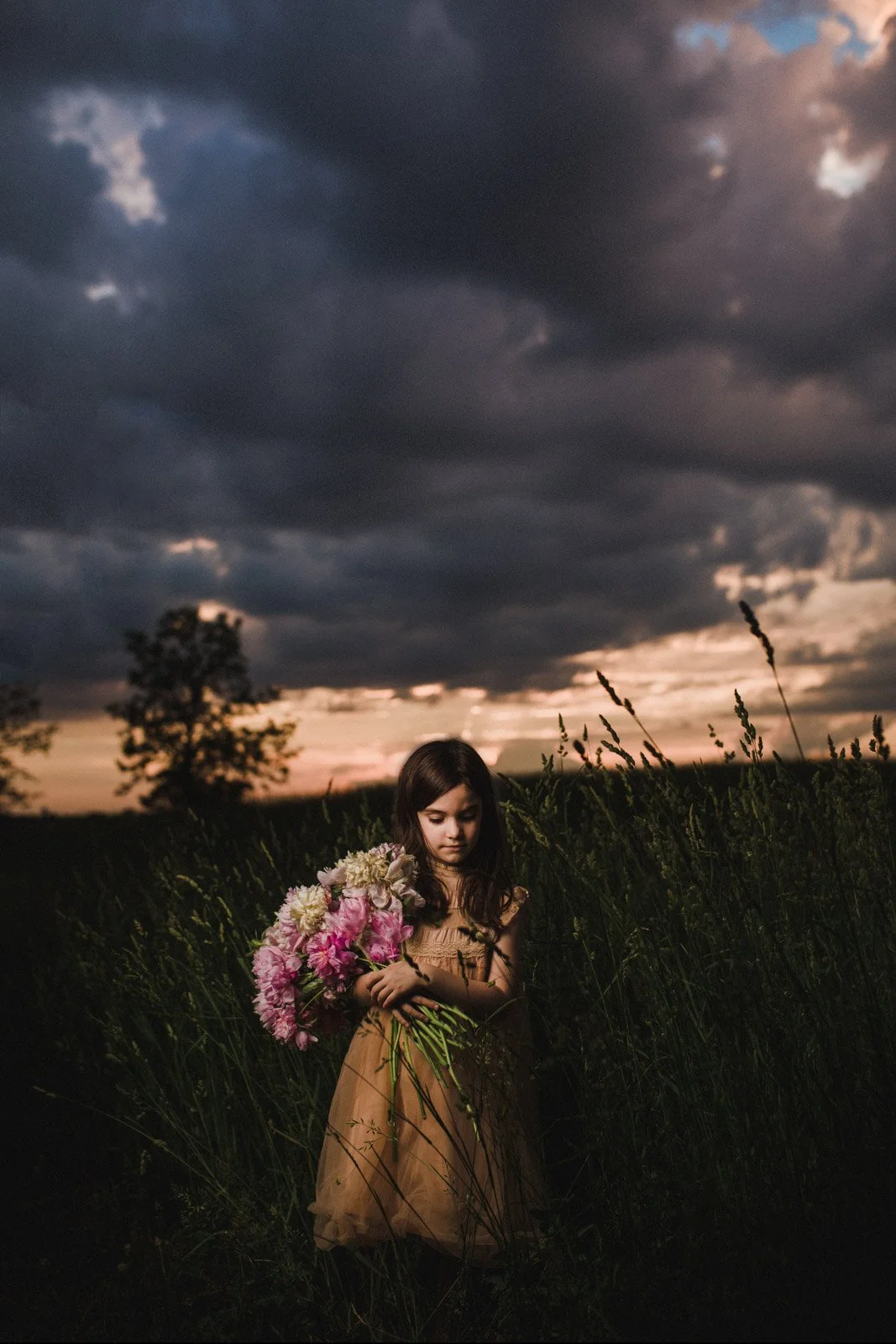 ocf-retain-drama-sky-softbox-leah-mclean.jpg