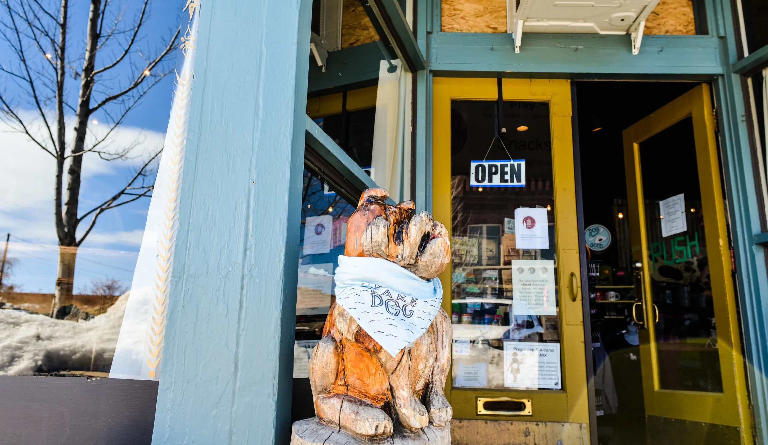 DogSpot Story Image (1 of 1).jpg