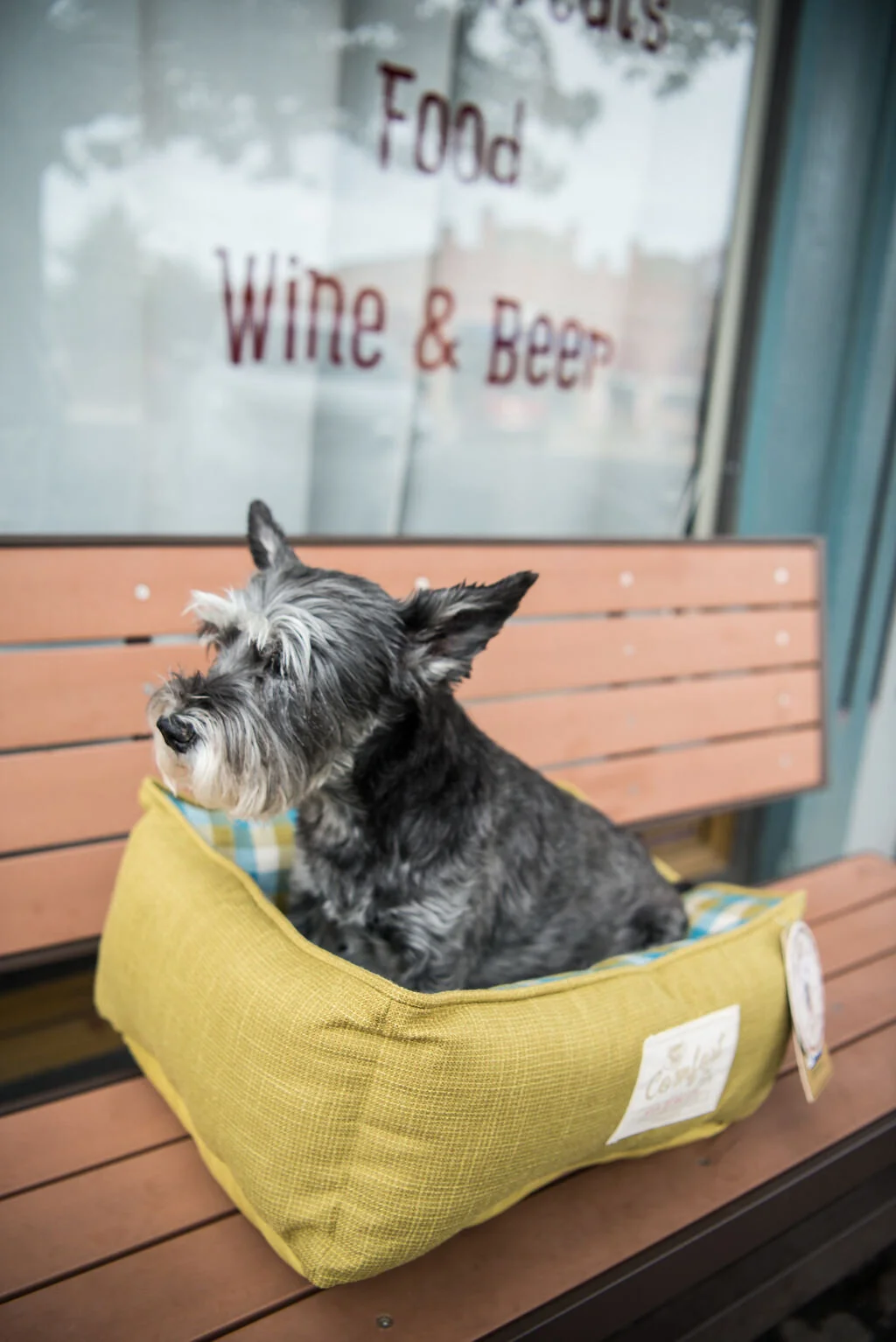 TheDogSpotJosephOregonPleaseCreditTaliaJeanGalvinwhenSharing(50of105).jpg