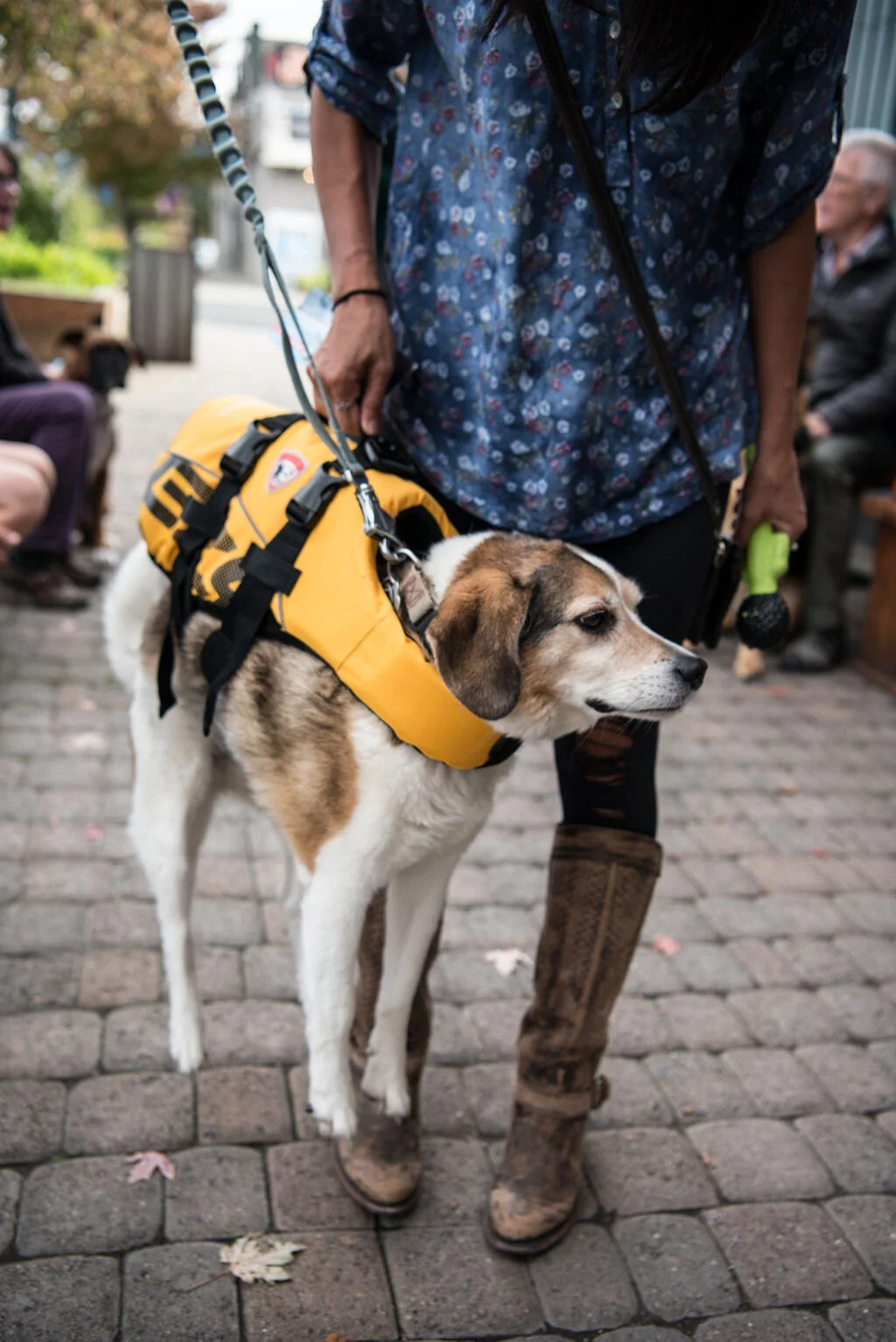 TheDogSpotJosephOregonPleaseCreditTaliaJeanGalvinwhenSharing(44of105).jpg