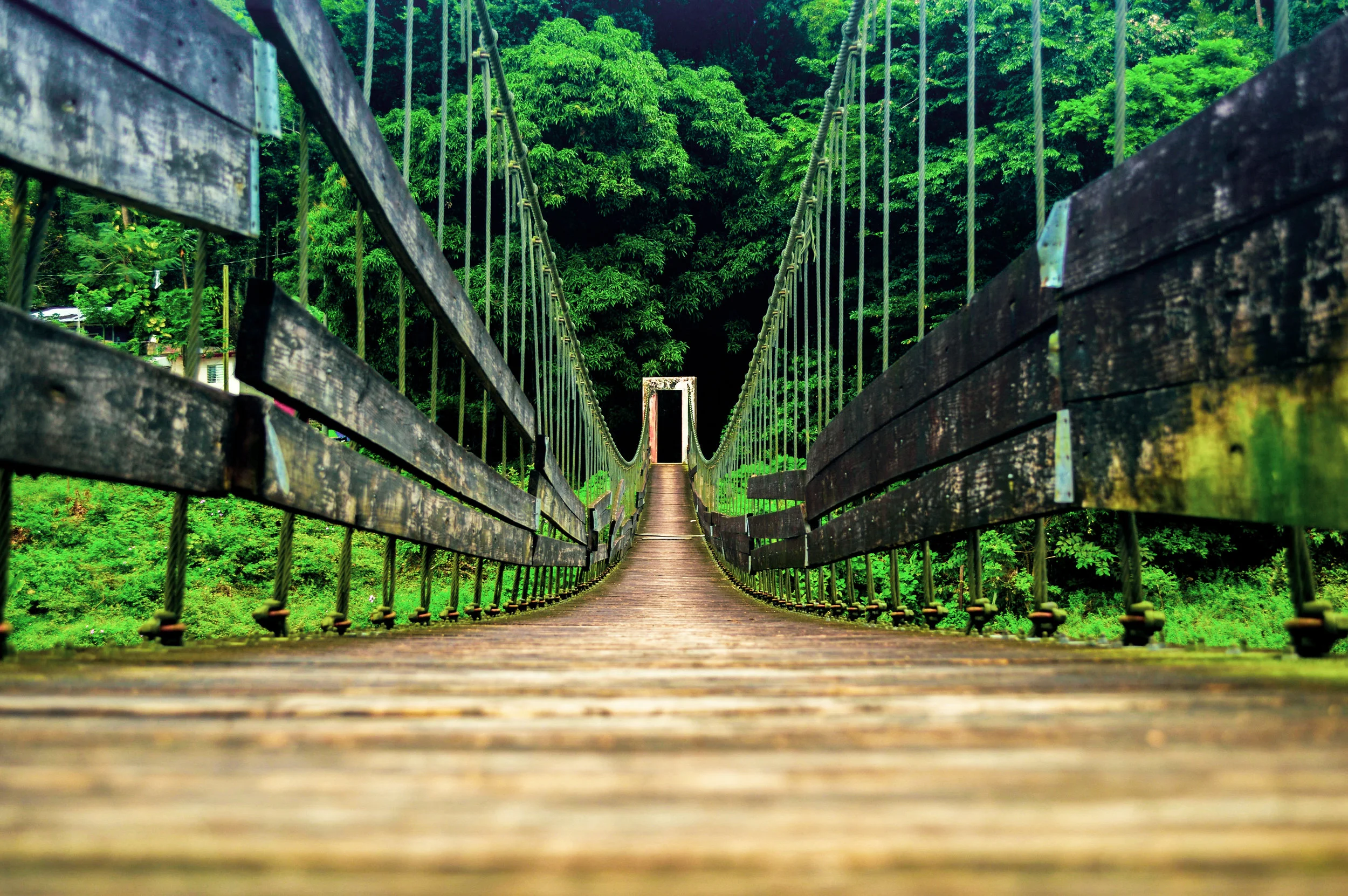 Utuado, PR.jpg