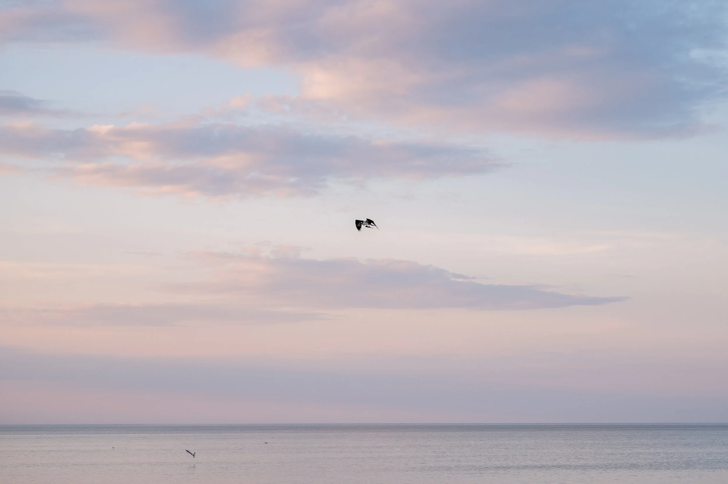 SLC_3427-Edit.jpg