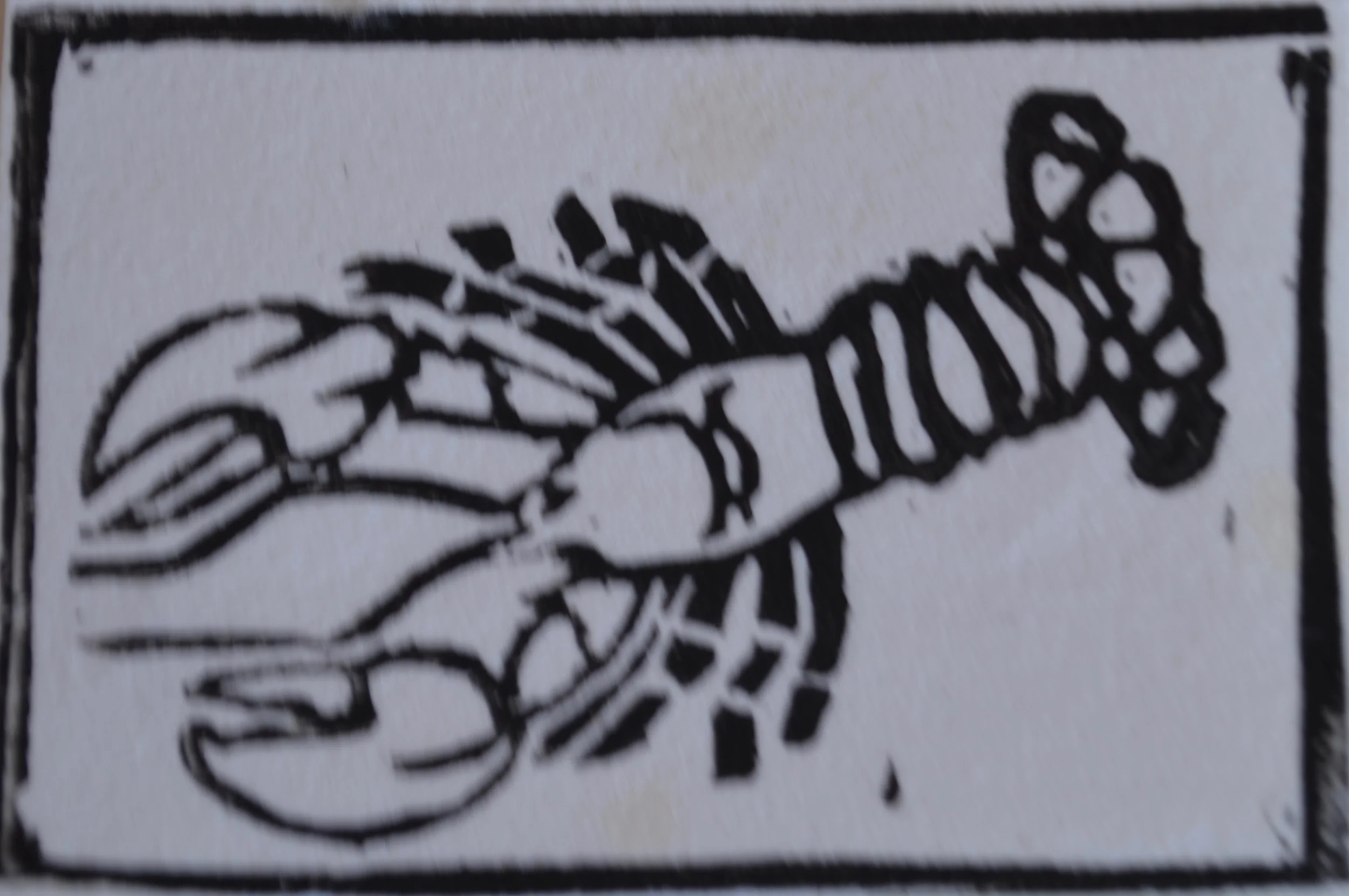 Lobster